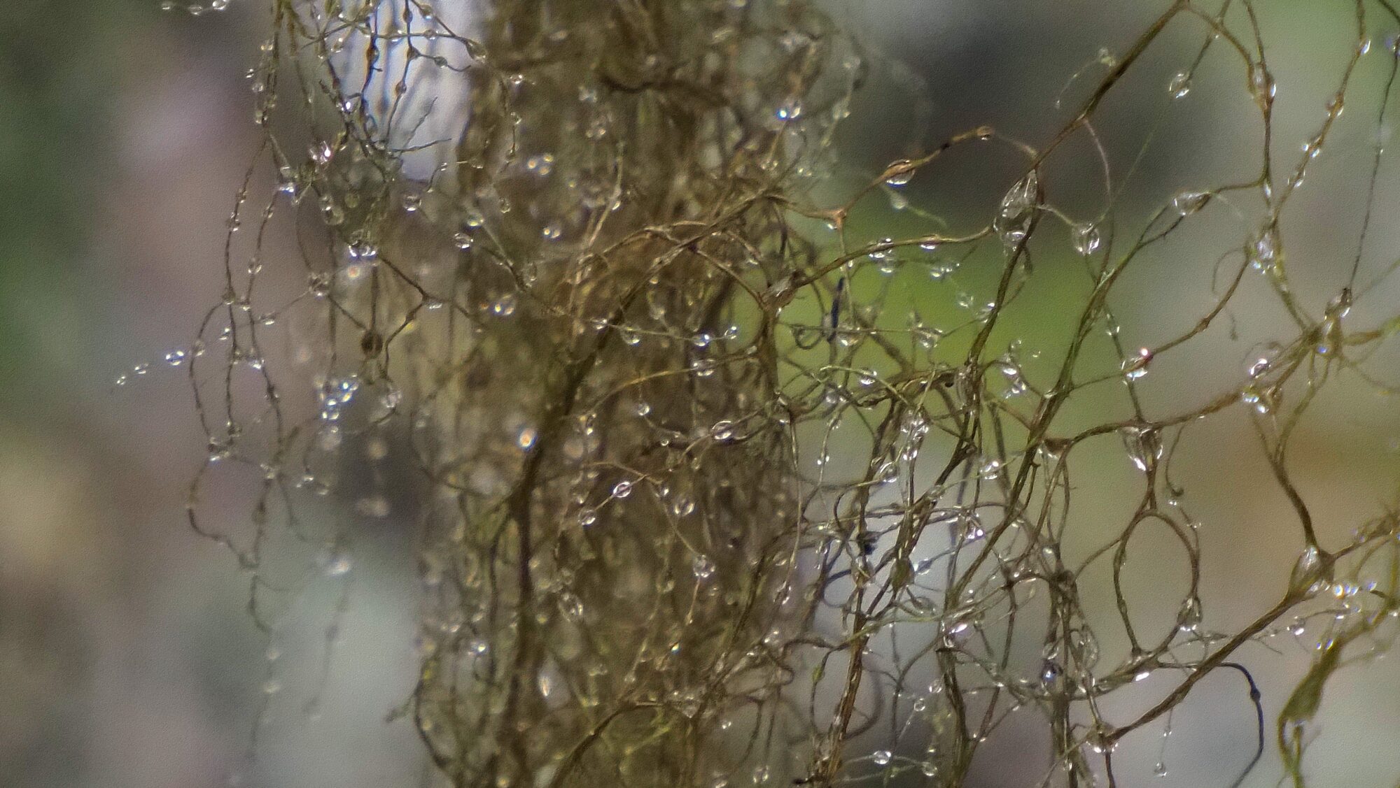 Valokuvaaja: Arja Valtonen