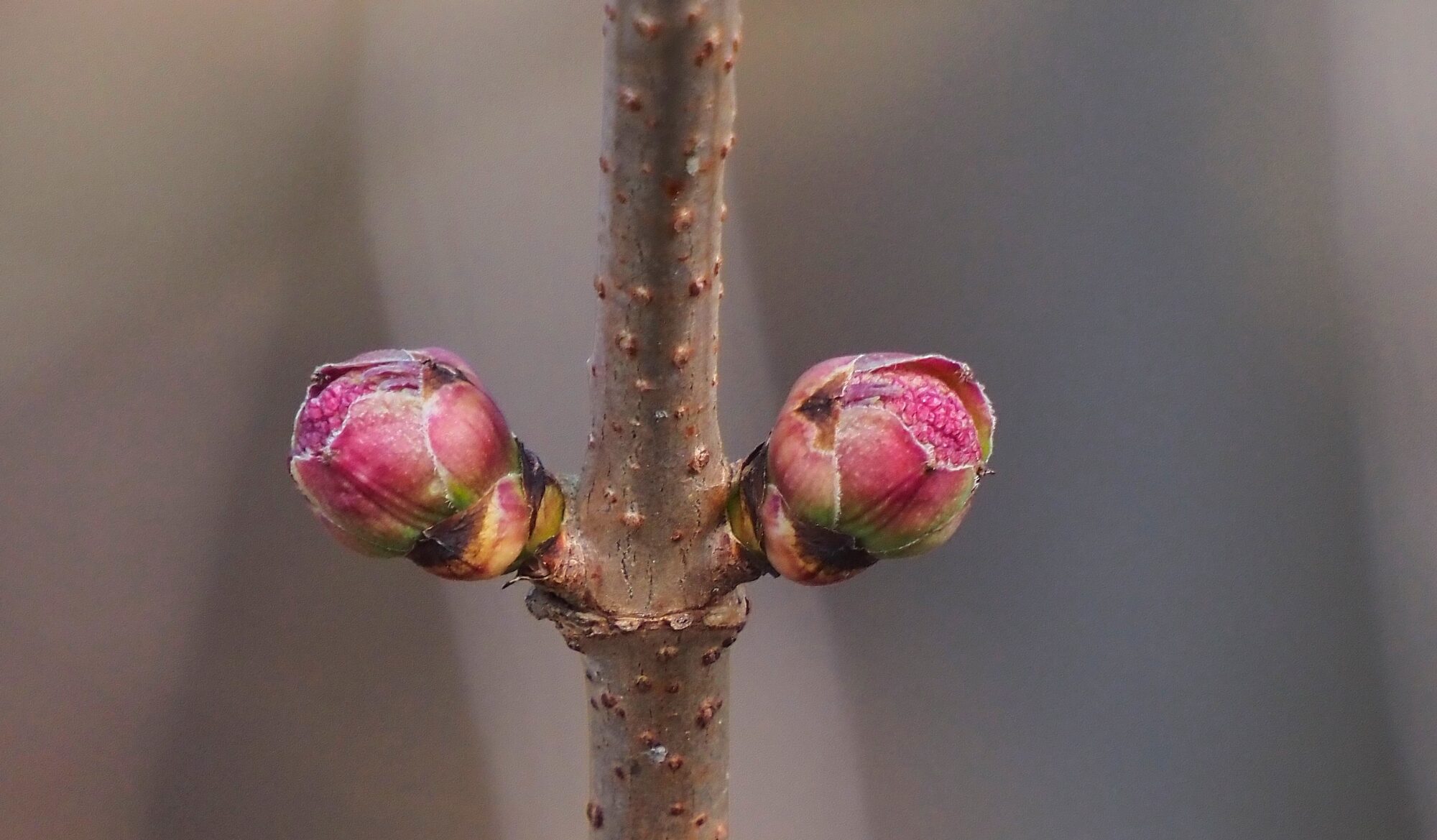 Valokuvaaja: Arja Valtonen