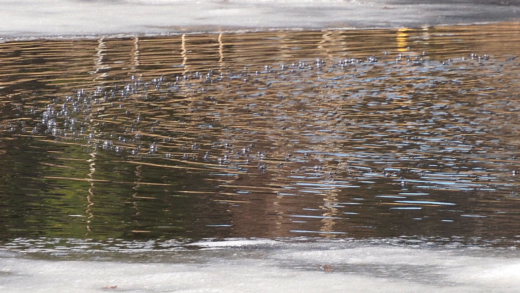 Valokuvaaja: Arja Valtonen