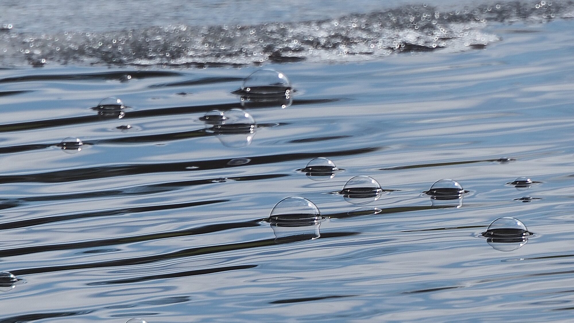 Valokuvaaja: Arja Valtonen Valokuvaaja: Arja Valtonen