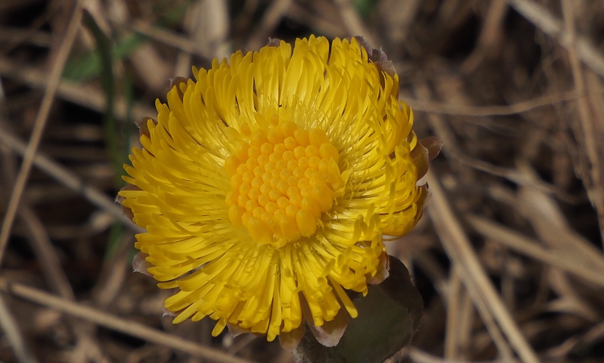Valokuvaaja: Arja Valtonen