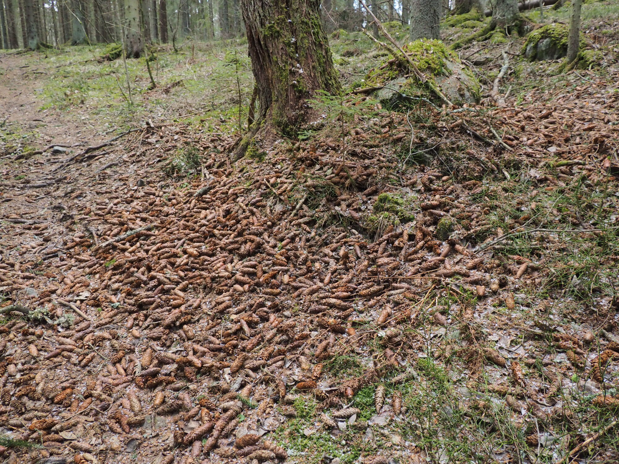 Valokuvaaja: Martti Valtonen