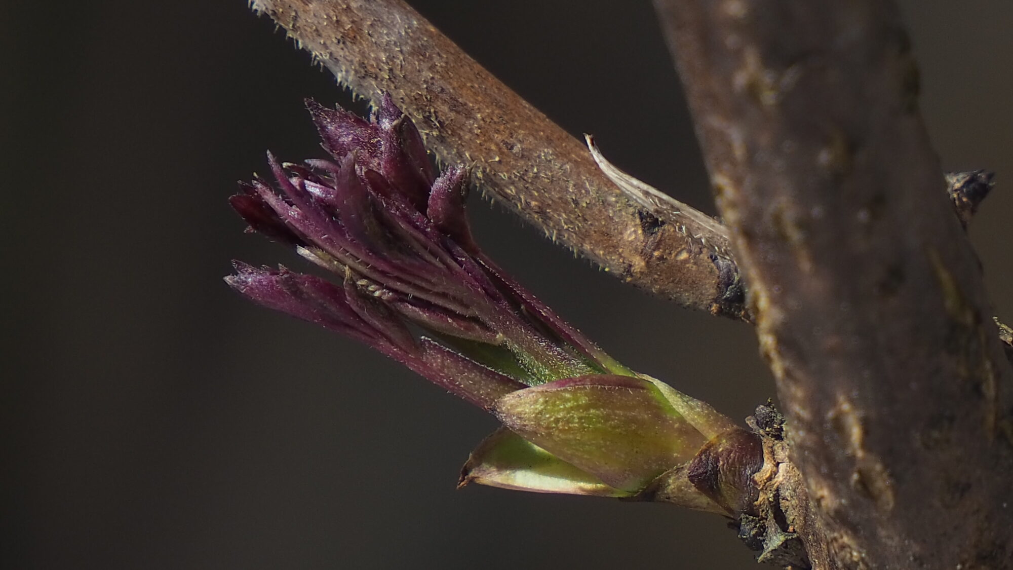 Valokuvaaja: Martti Valtonen