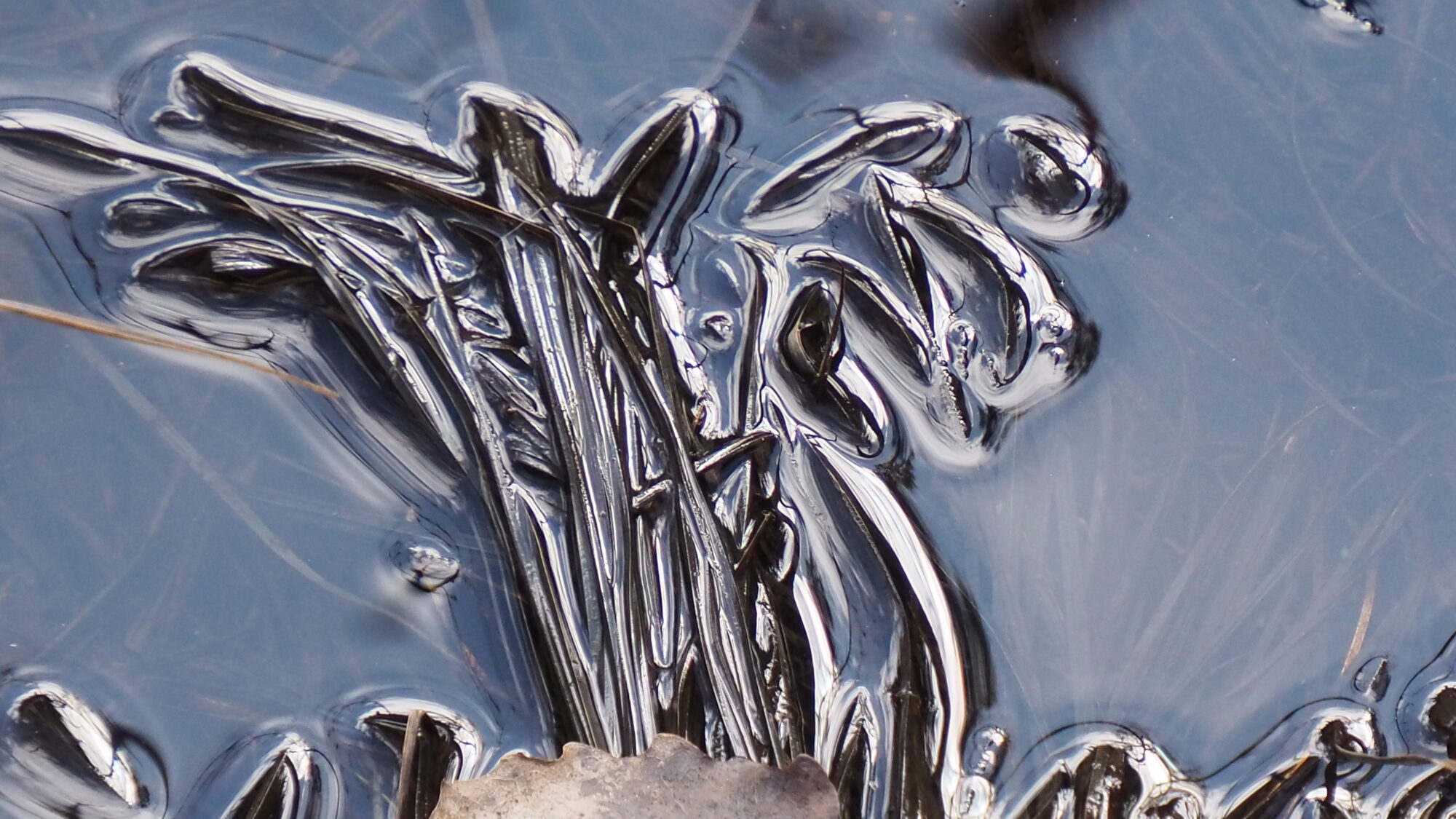 Valokuvaaja: Martti Valtonen