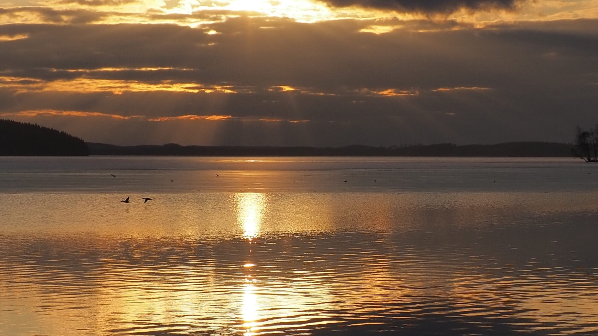 Valokuvaaja: Martti Valtonen Valokuvaaja: Martti Valtonen