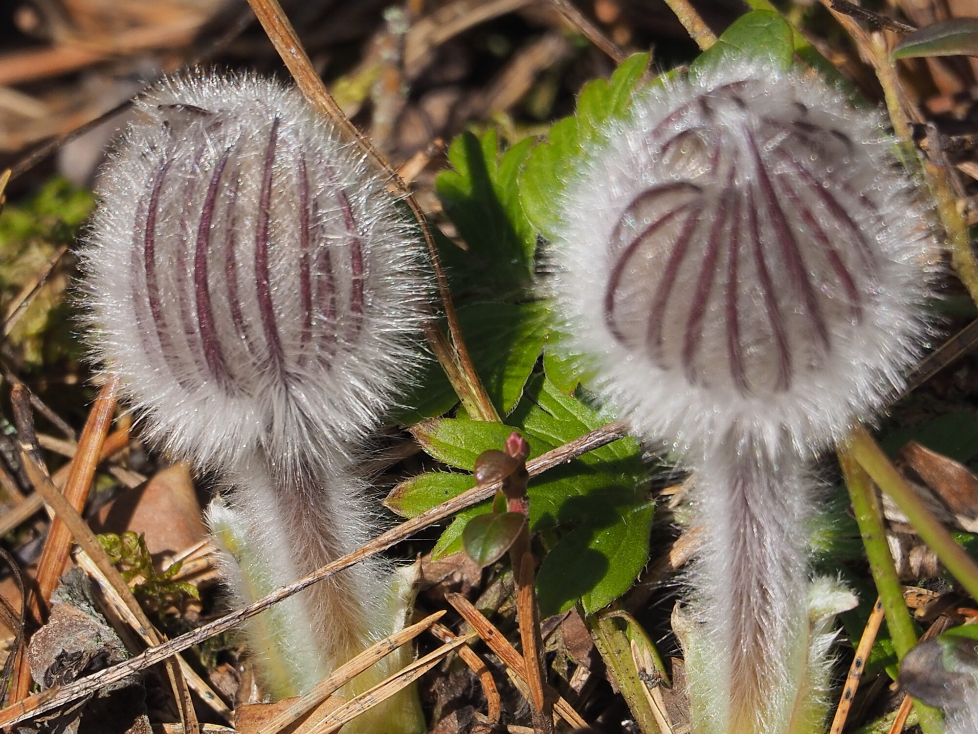 Valokuvaaja: Martti Valtonen