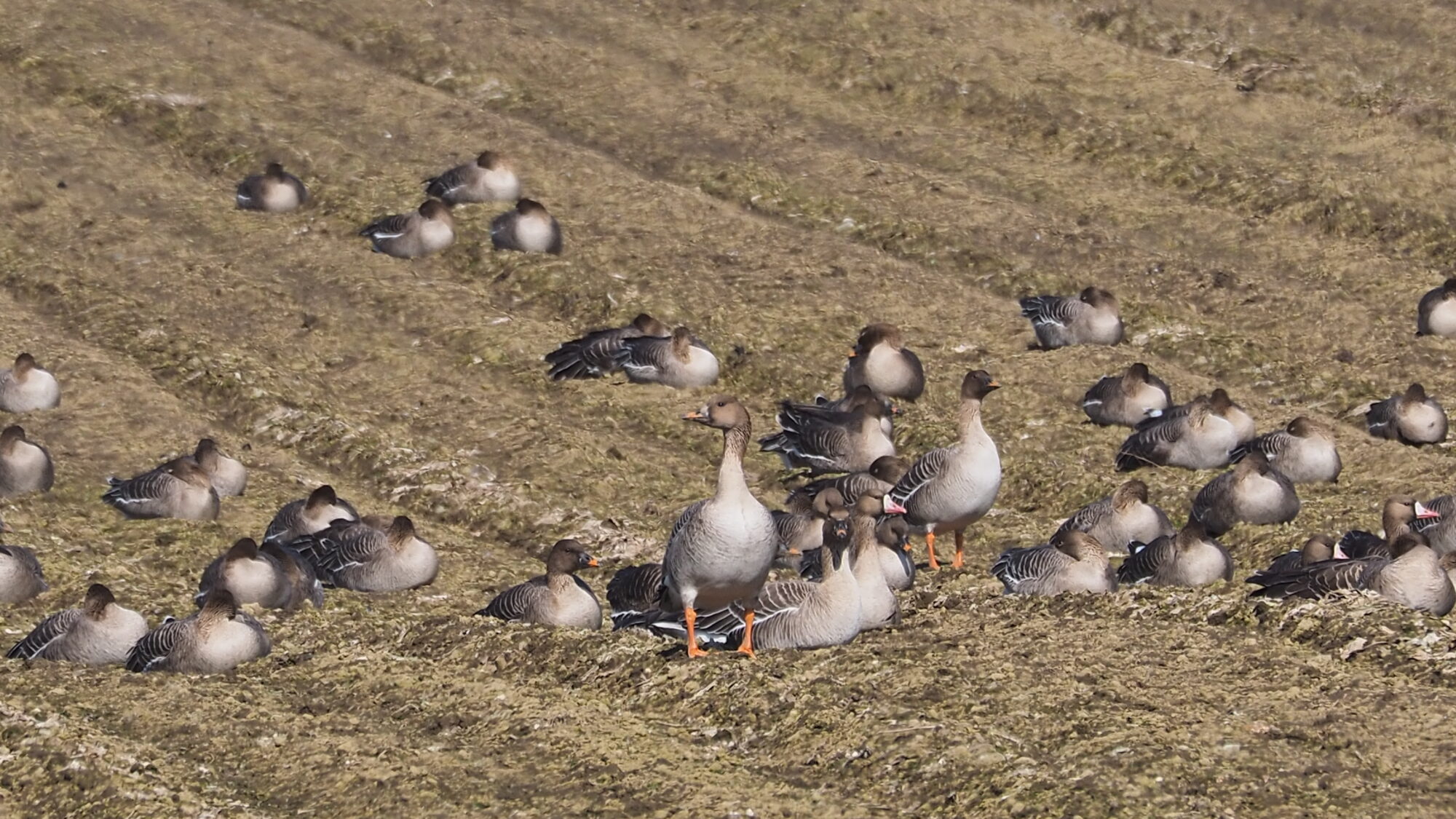 Valokuvaaja: Martti Valtonen