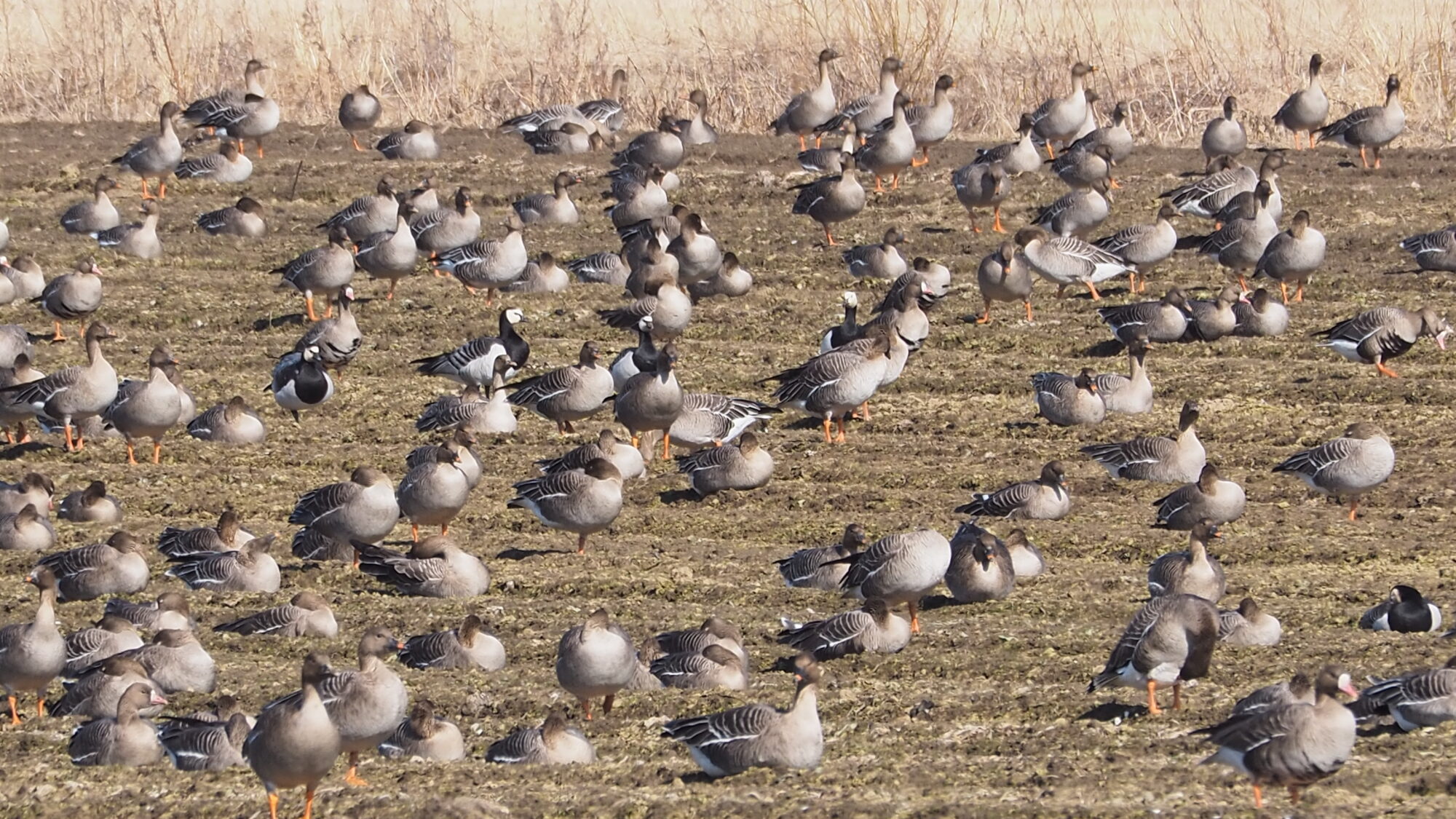 Valokuvaaja: Martti Valtonen