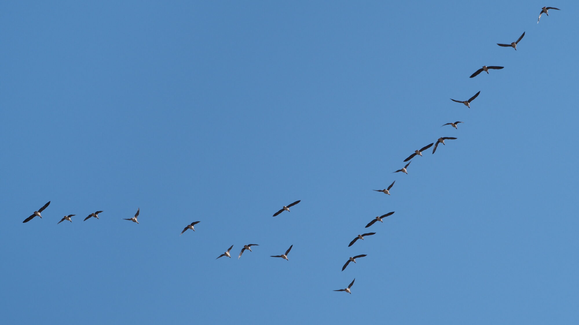 Valokuvaaja: Martti Valtonen