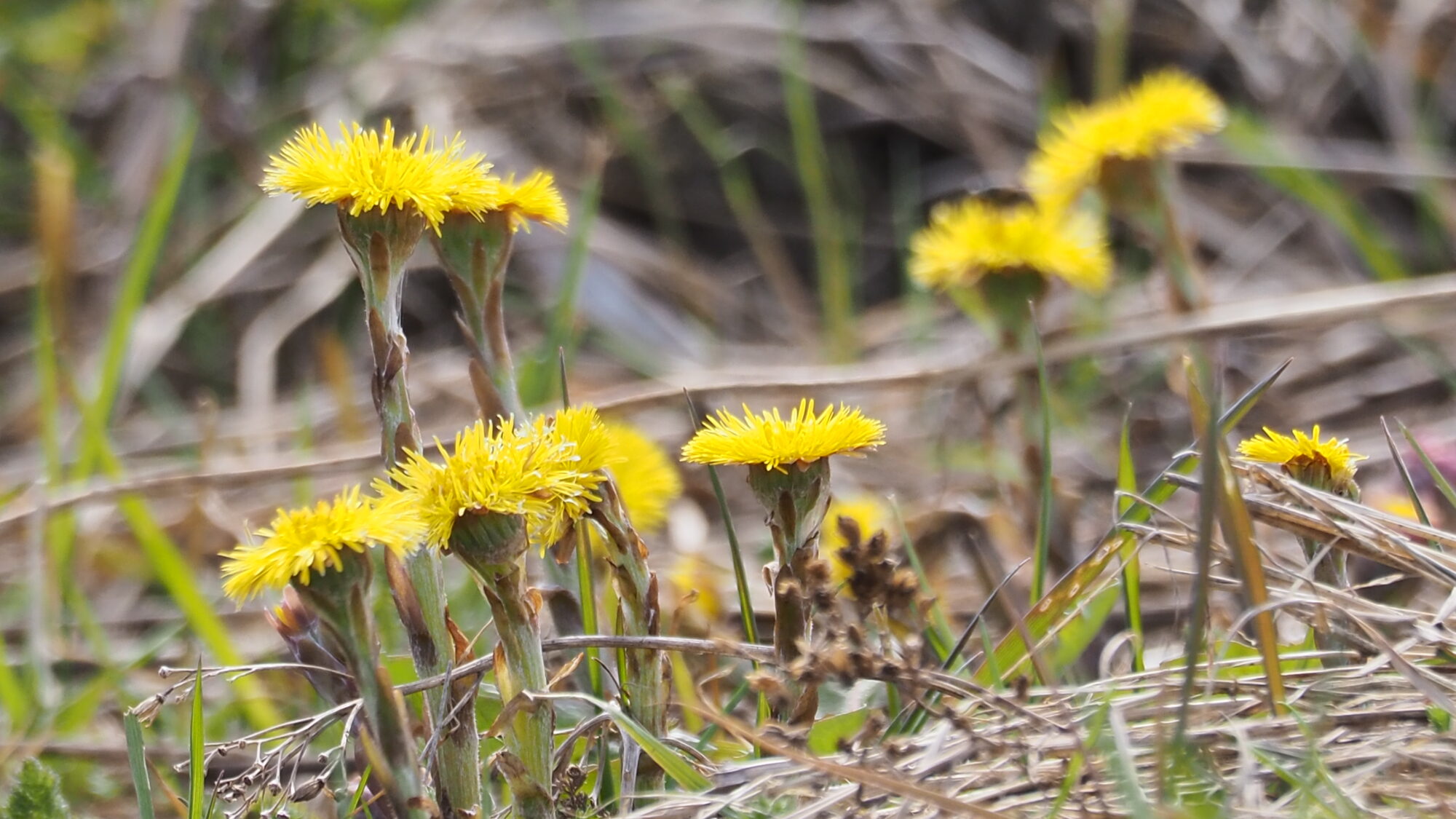 Valokuvaaja: Martti Valtonen Valokuvaaja: Martti Valtonen