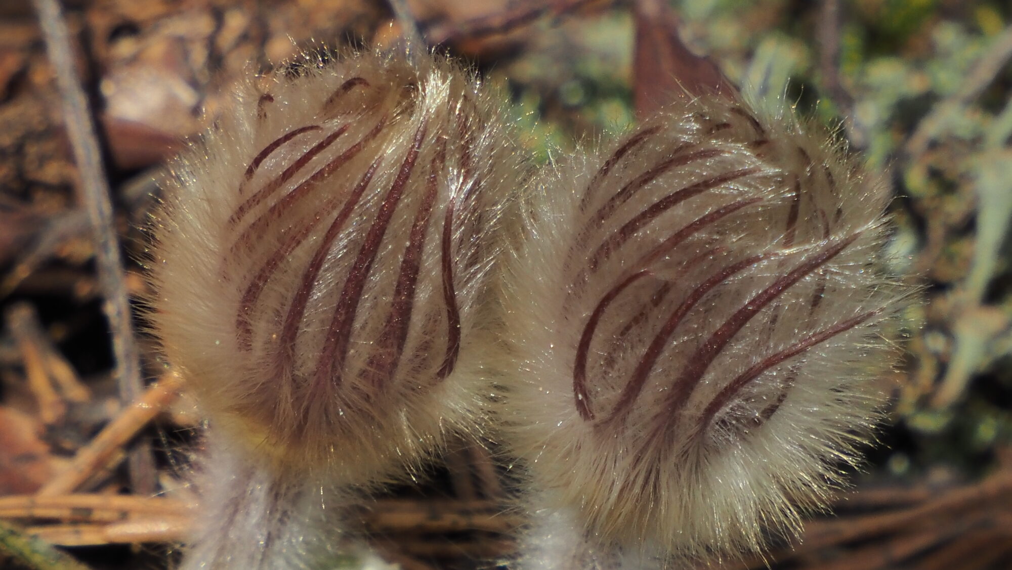 Valokuvaaja: Arja Valtonen