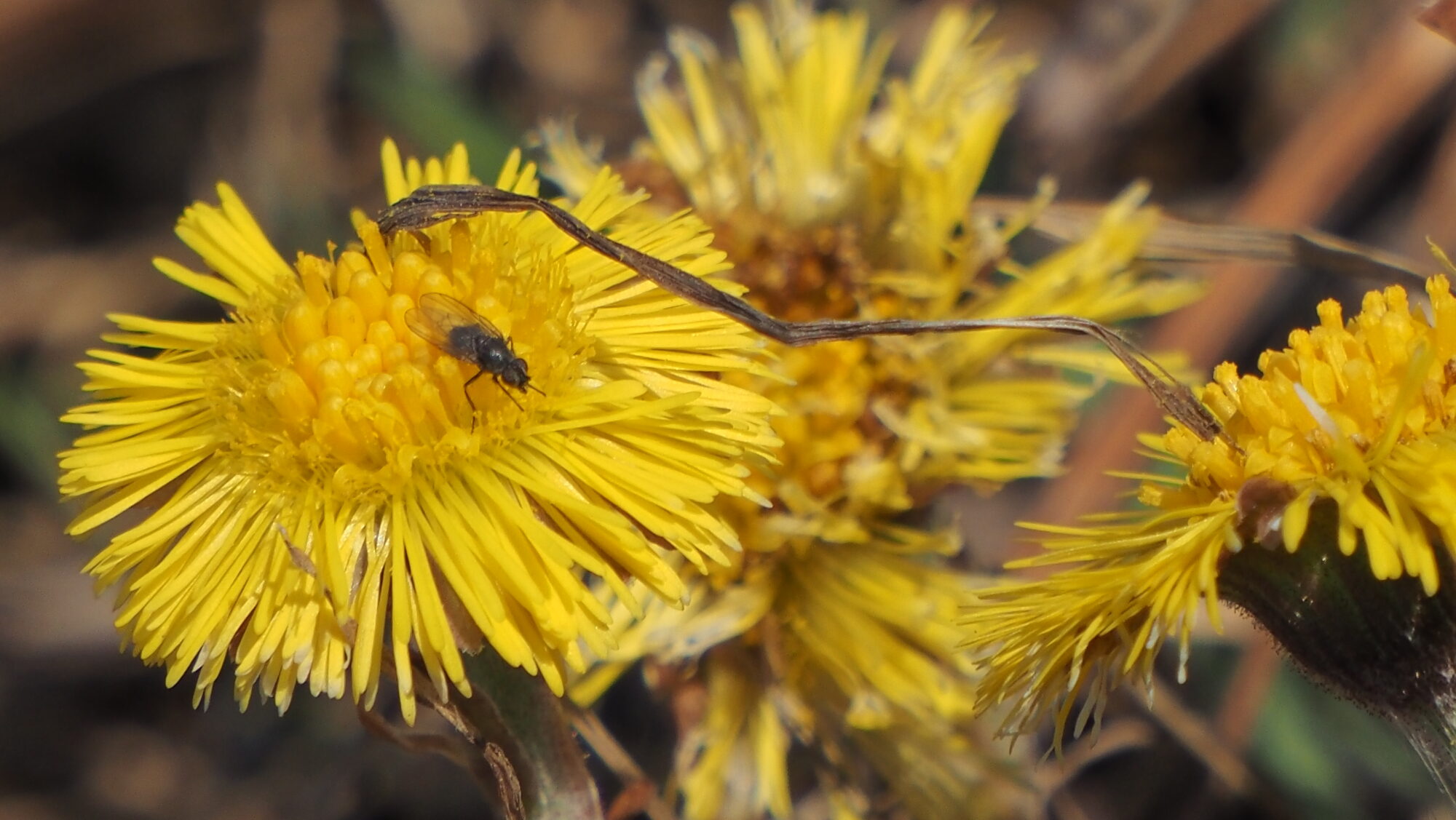 Valokuvaaja: Arja Valtonen Valokuvaaja: Arja Valtonen