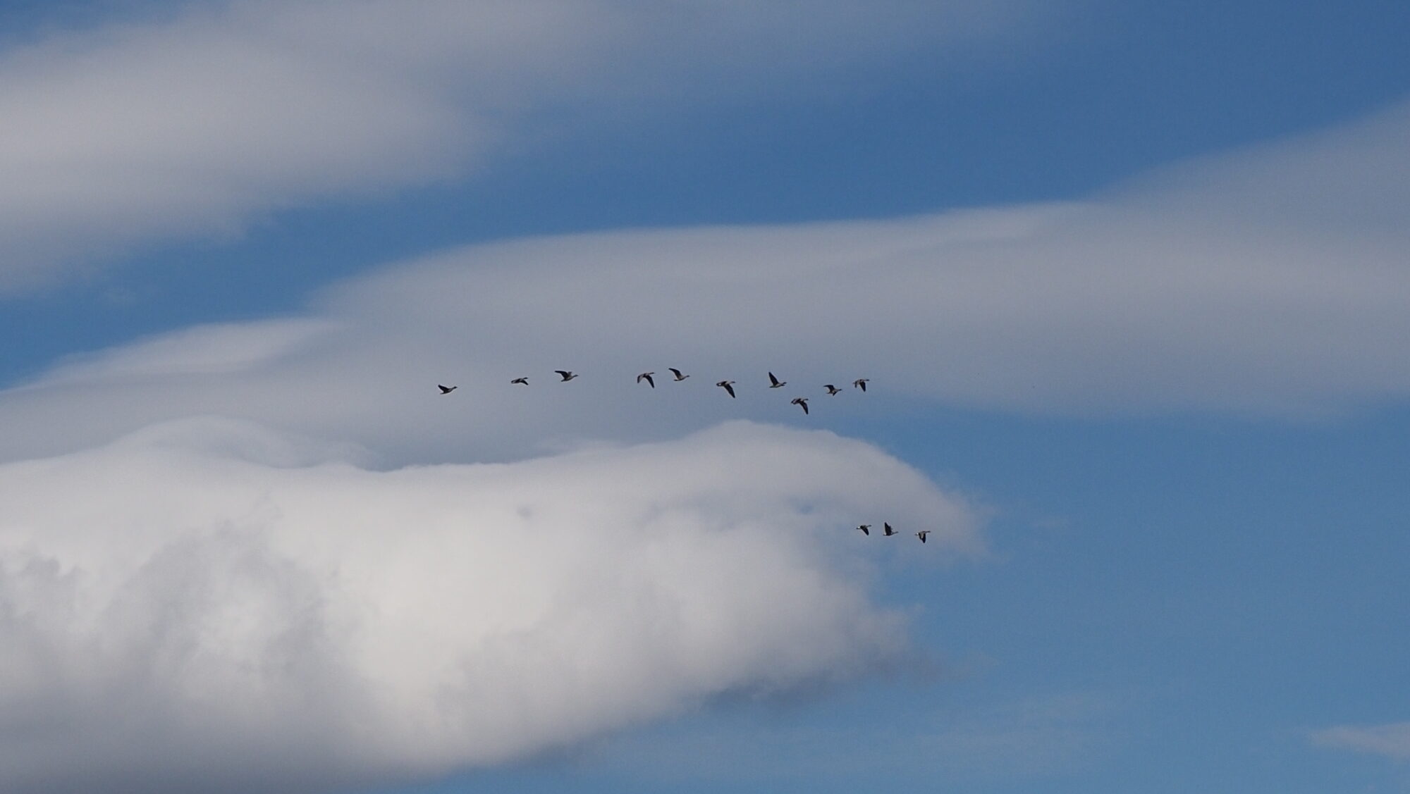 Valokuvaaja: Arja Valtonen