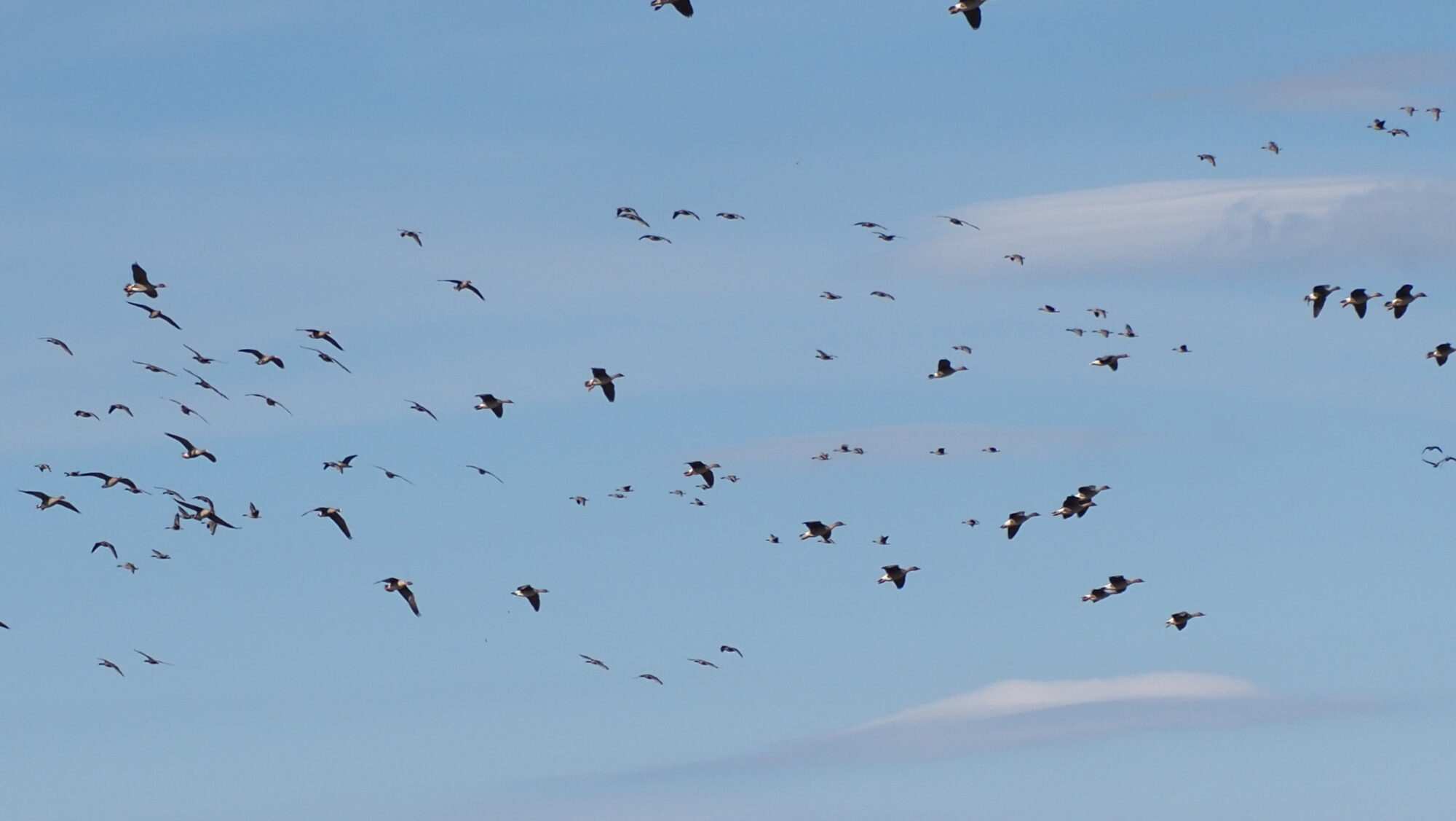 Valokuvaaja: Arja Valtonen