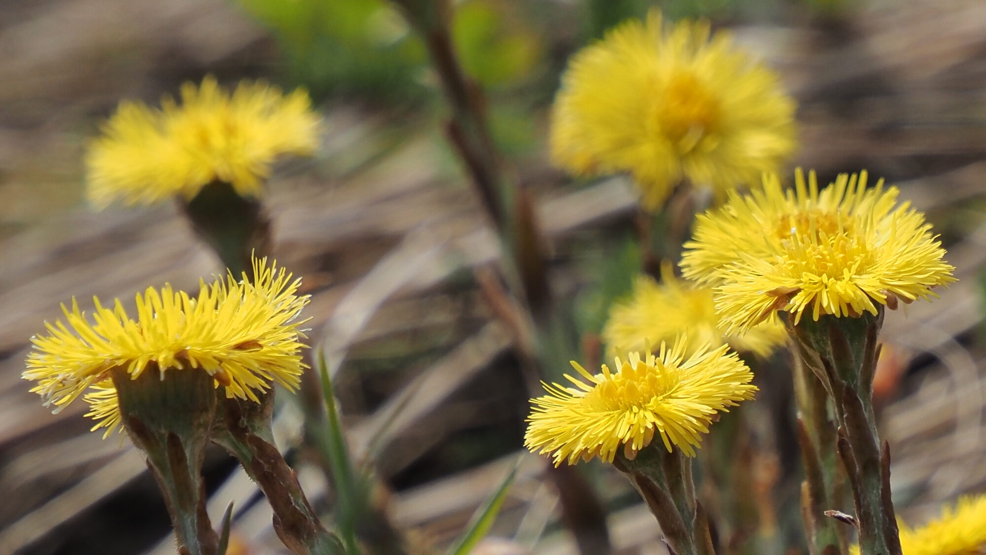 Valokuvaaja: Arja Valtonen