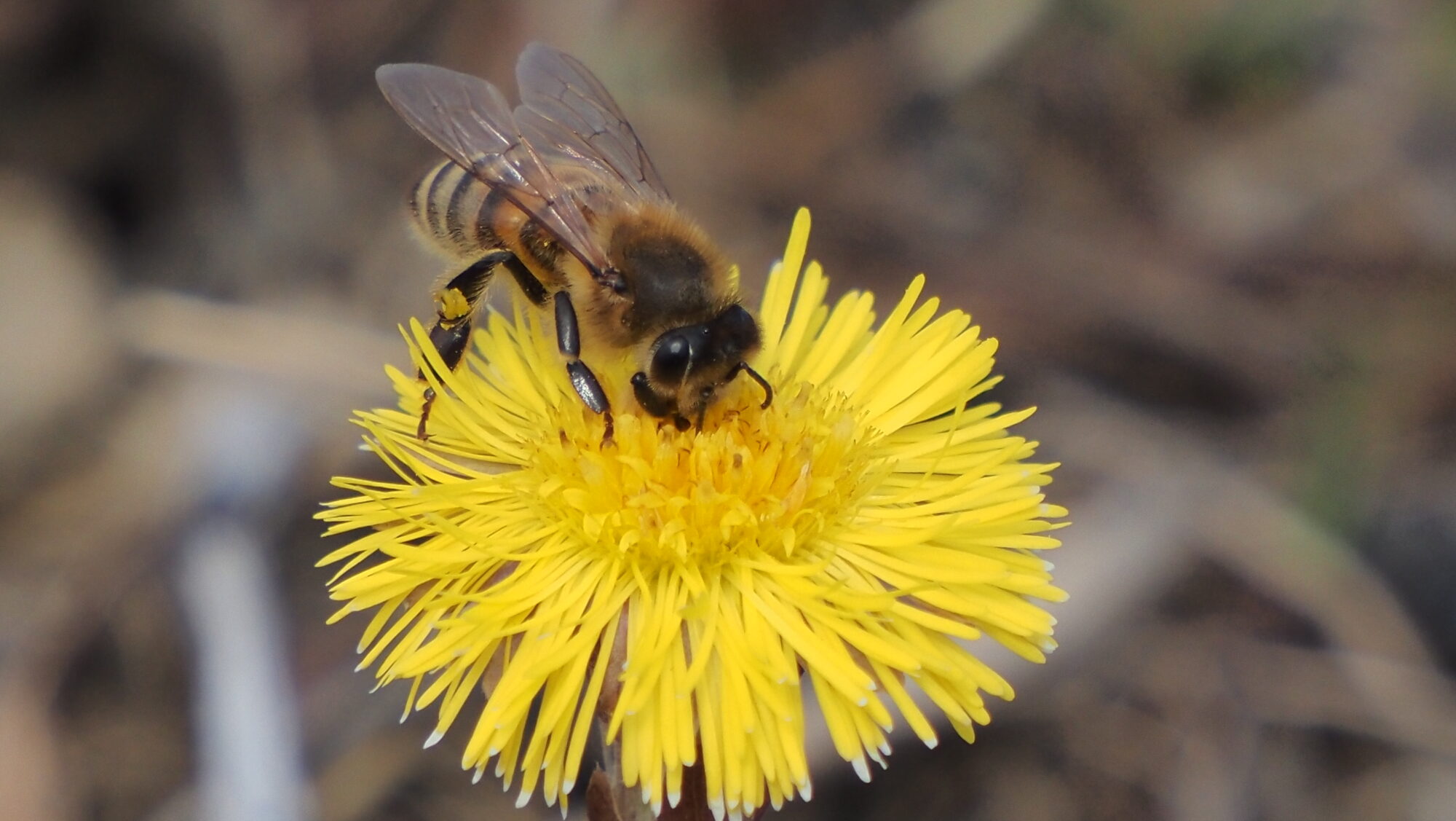Valokuvaaja: Arja Valtonen