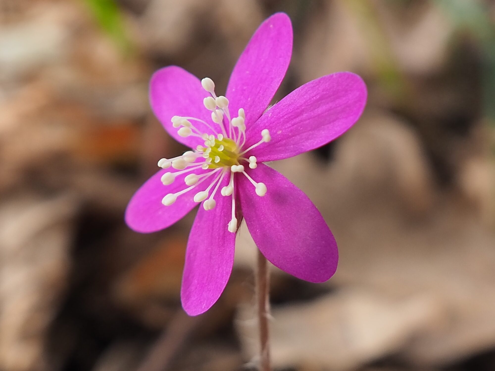 Valokuvaaja: Martti Valtonen