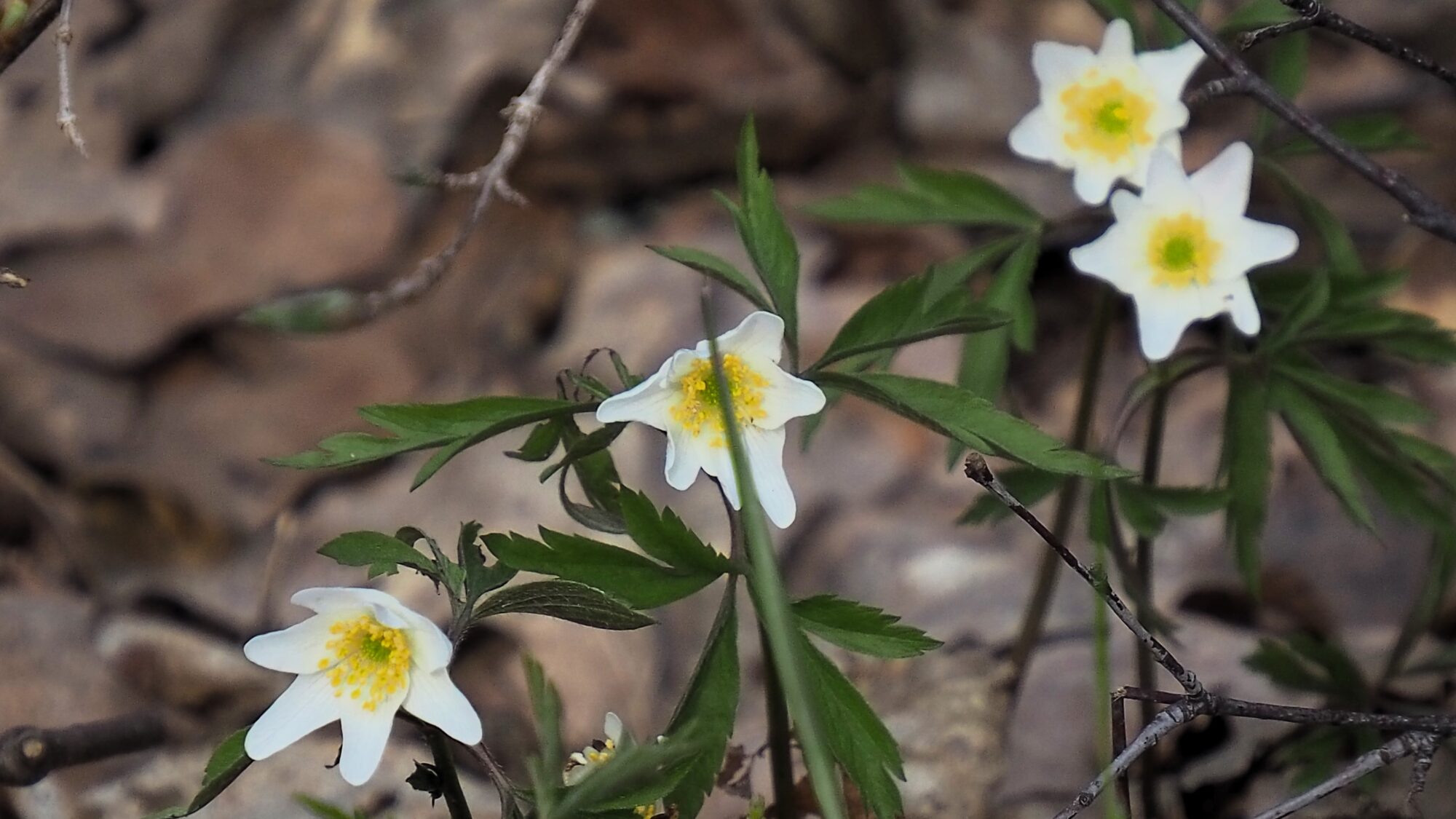 Valokuvaaja: Martti Valtonen Valokuvaaja: Martti Valtonen