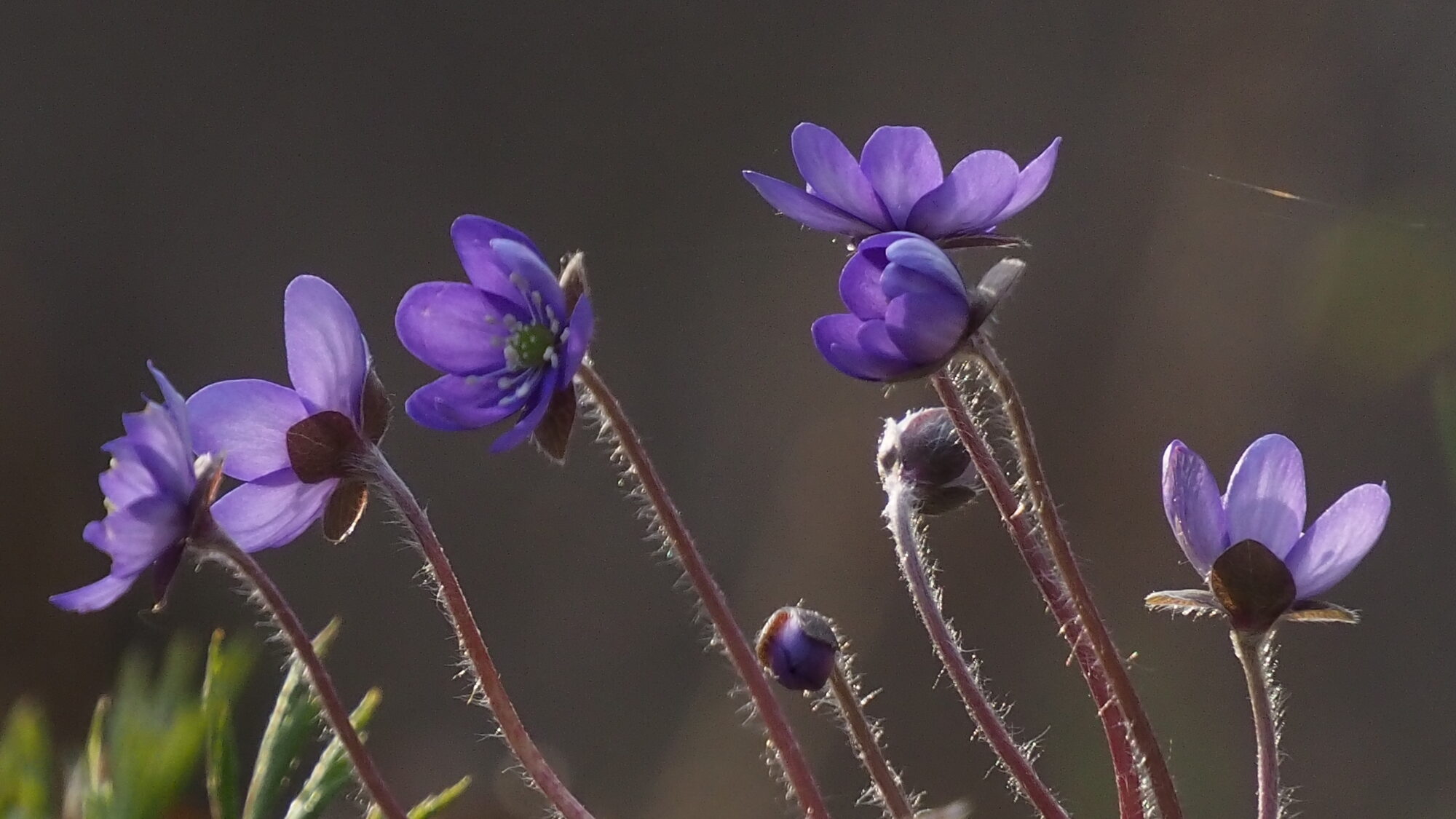 Valokuvaaja: Martti Valtonen