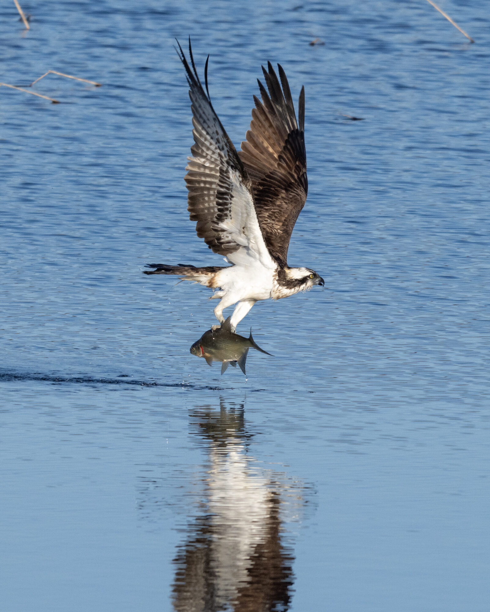 Valokuvaaja: Matti Manninen