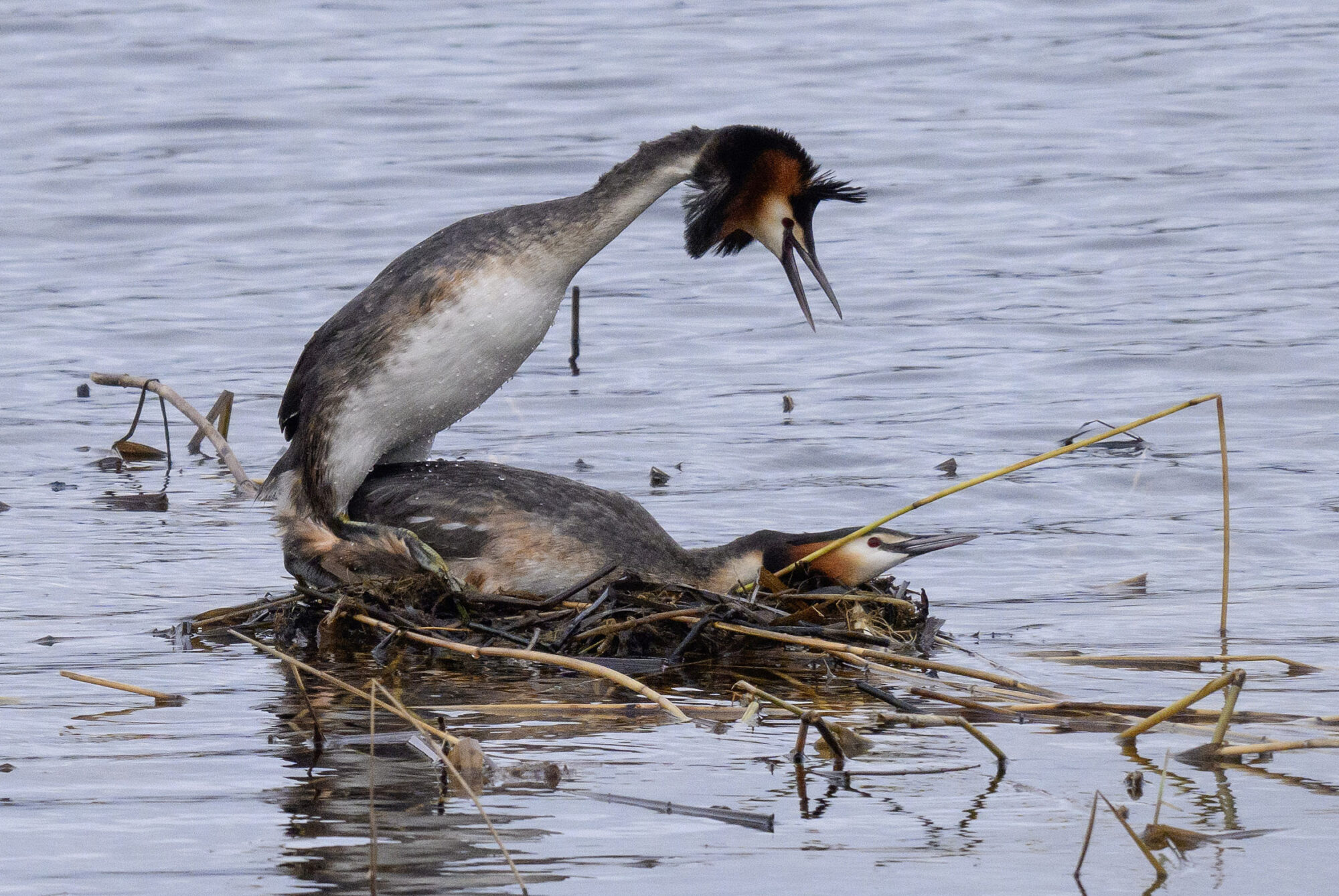 Valokuvaaja: Matti Manninen