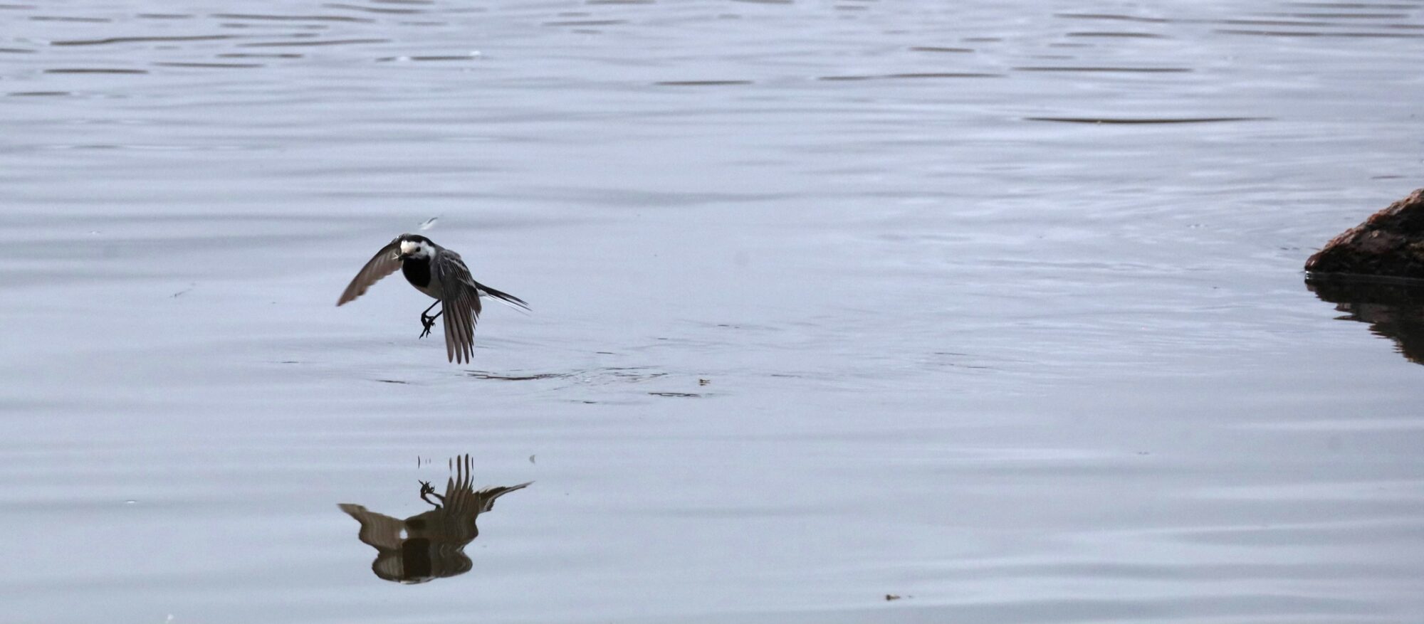 Valokuvaaja: Armi Järvinen