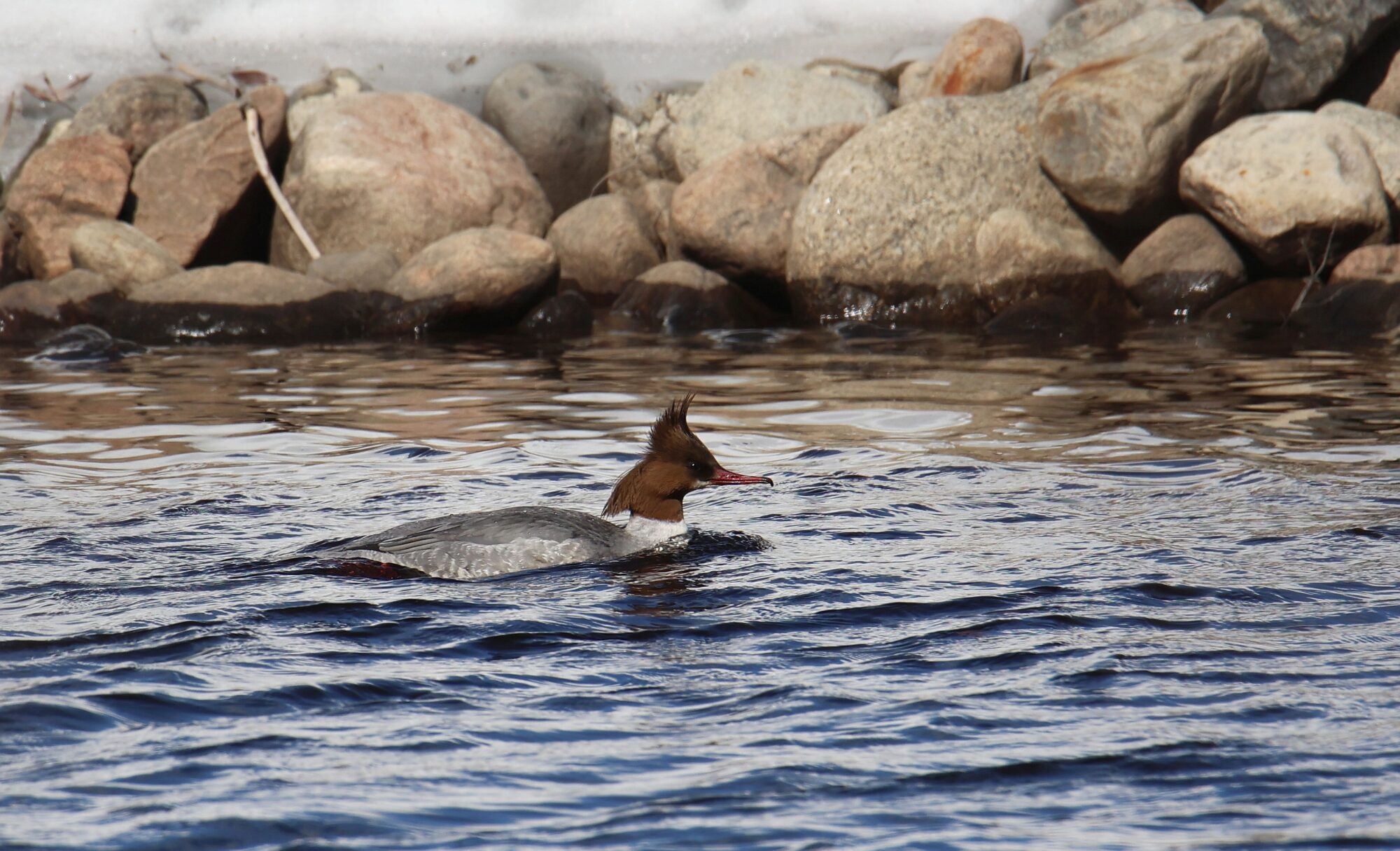 Valokuvaaja: Jaana Saarelainen