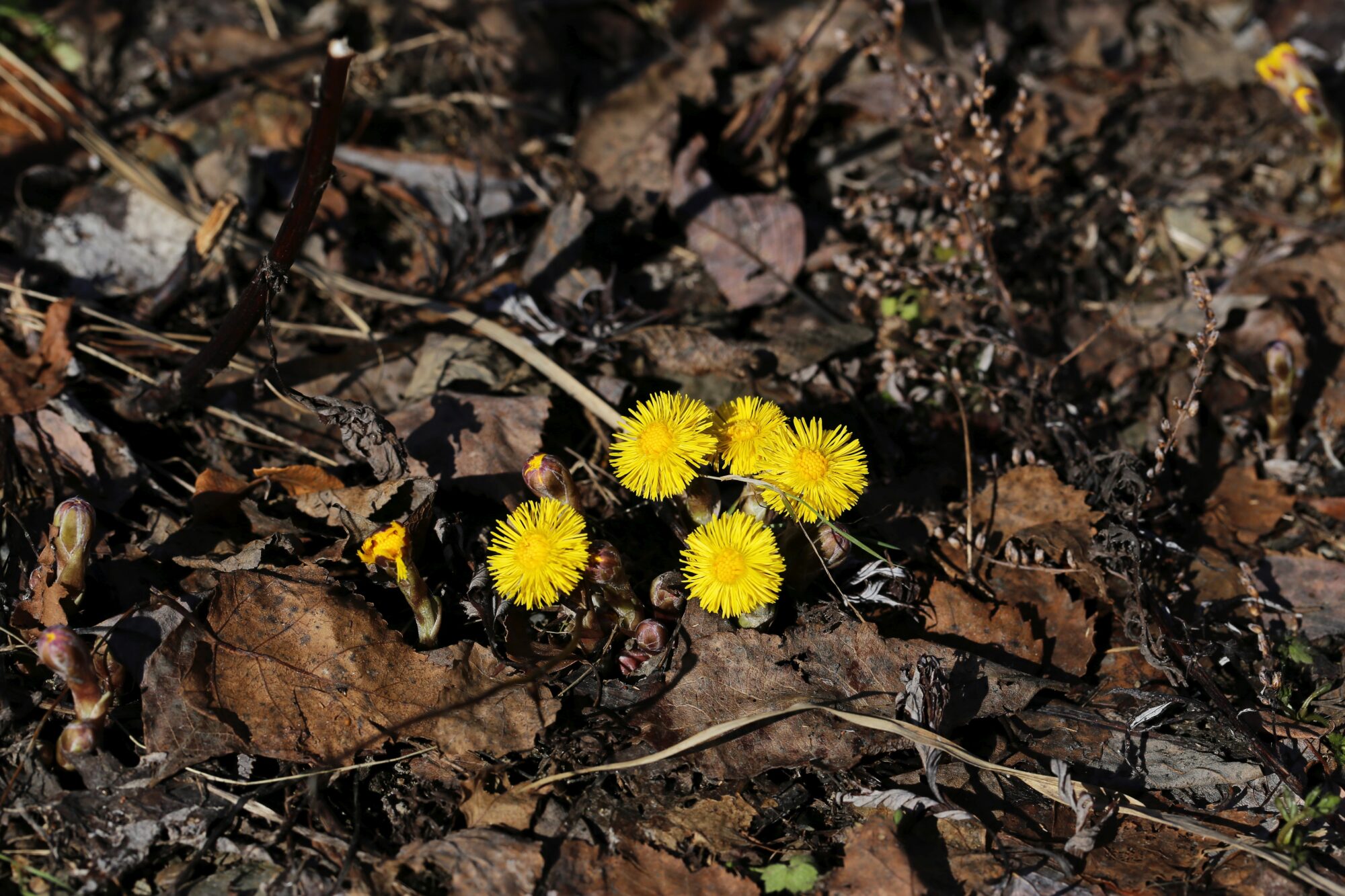 Valokuvaaja: Jaana Saarelainen
