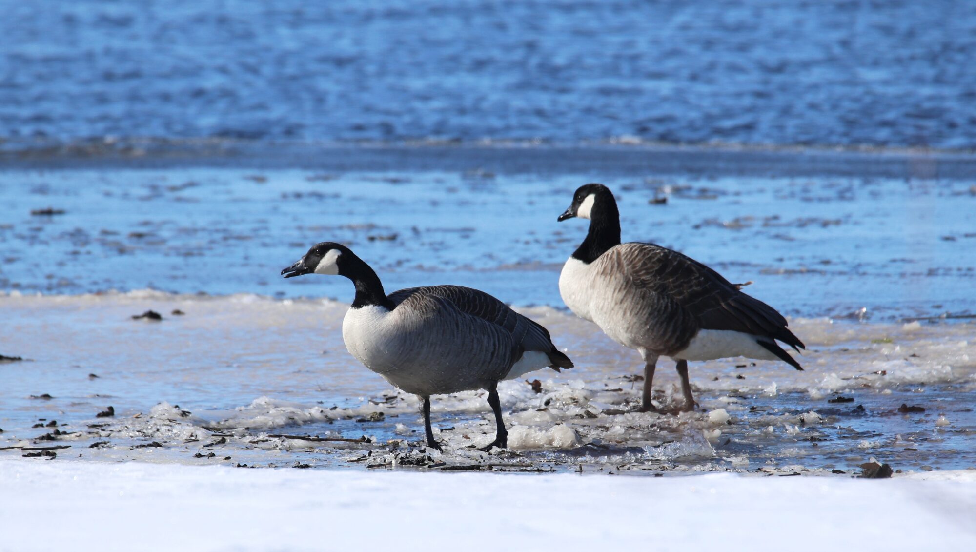 Valokuvaaja: Jaana Saarelainen