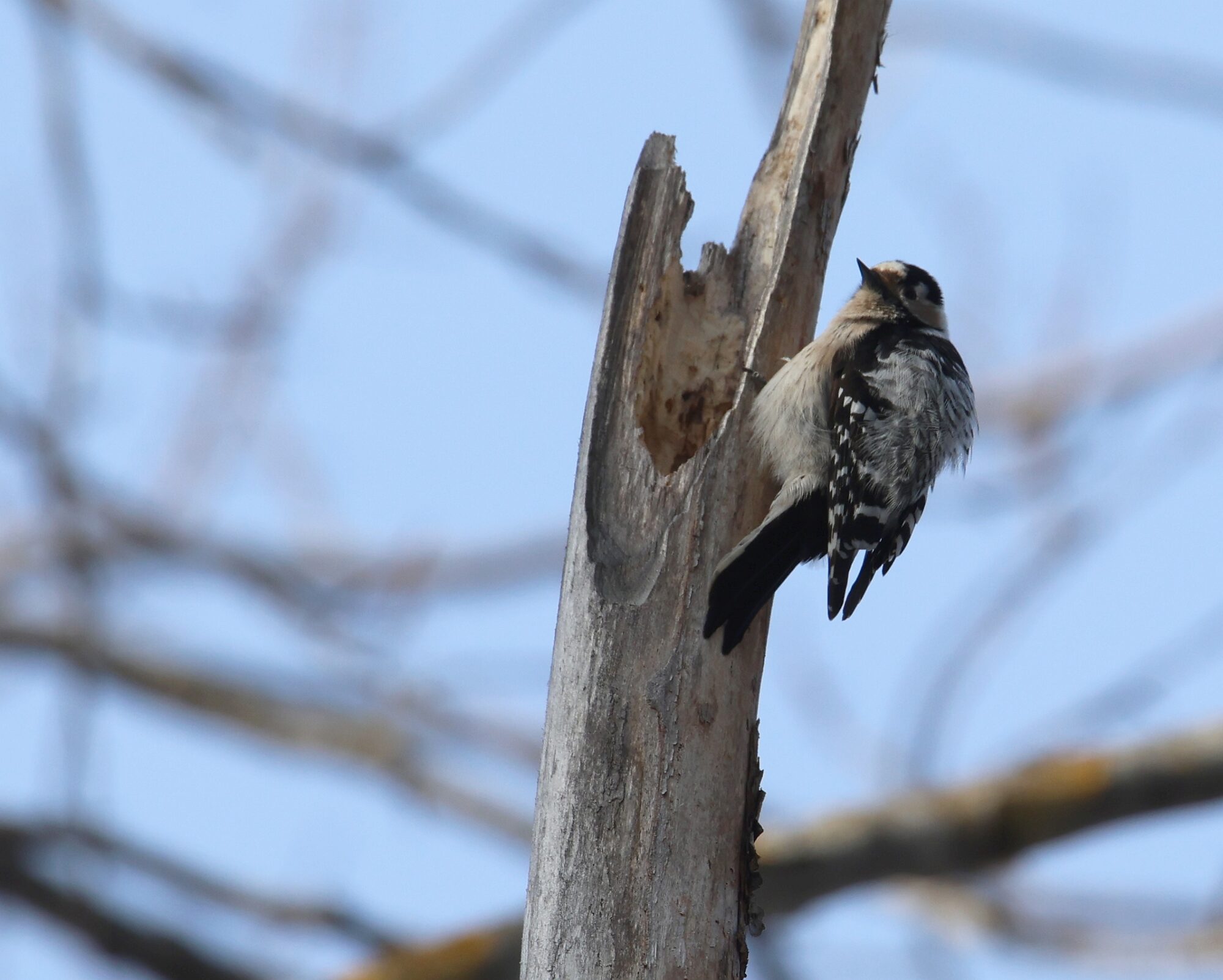 Valokuvaaja: Jaana Saarelainen Valokuvaaja: Jaana Saarelainen