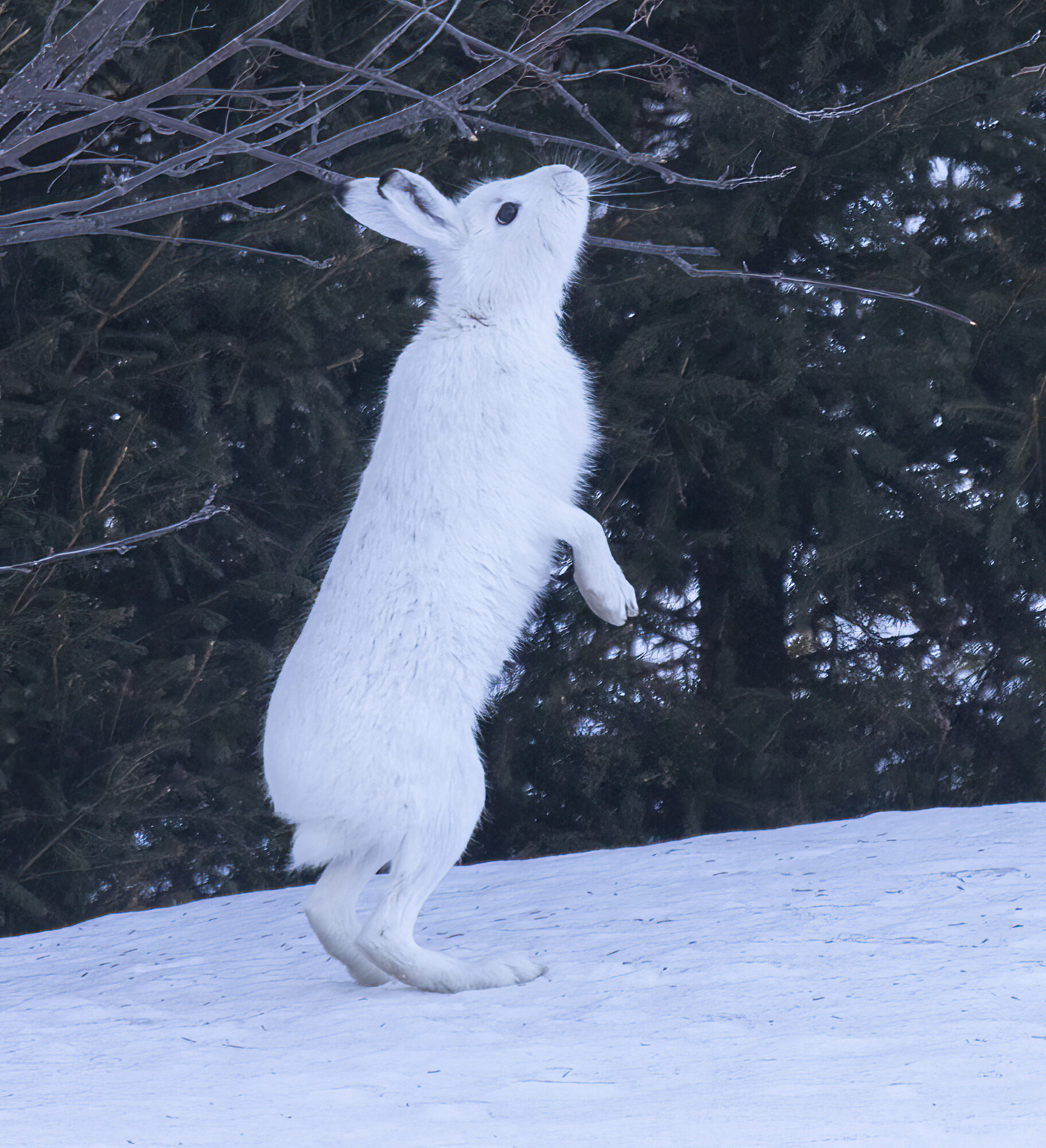 Valokuvaaja: Hannu Tikkanen