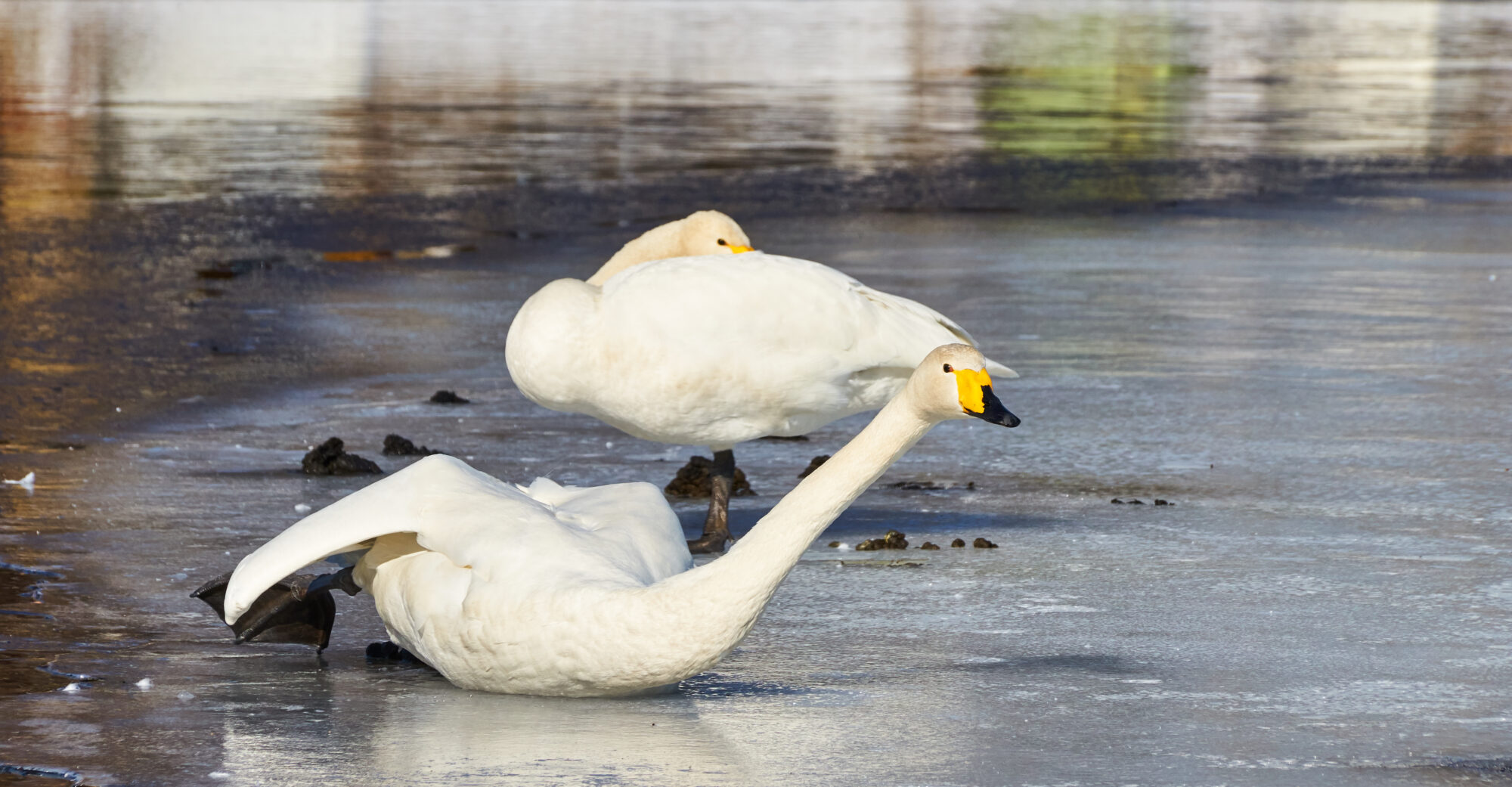 Valokuvaaja: Tarja Kouvo Valokuvaaja: Tarja Kouvo