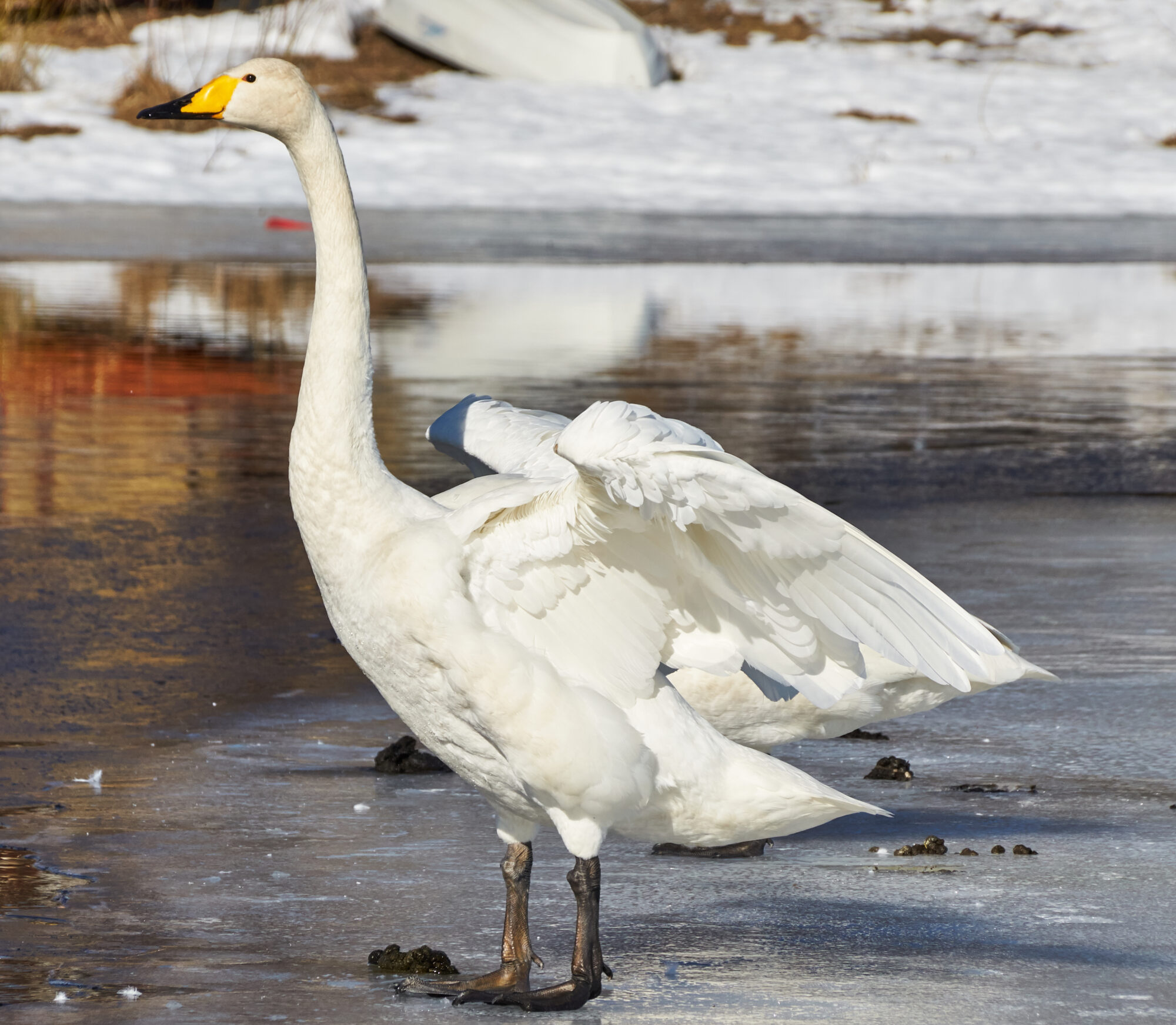Valokuvaaja: Tarja Kouvo