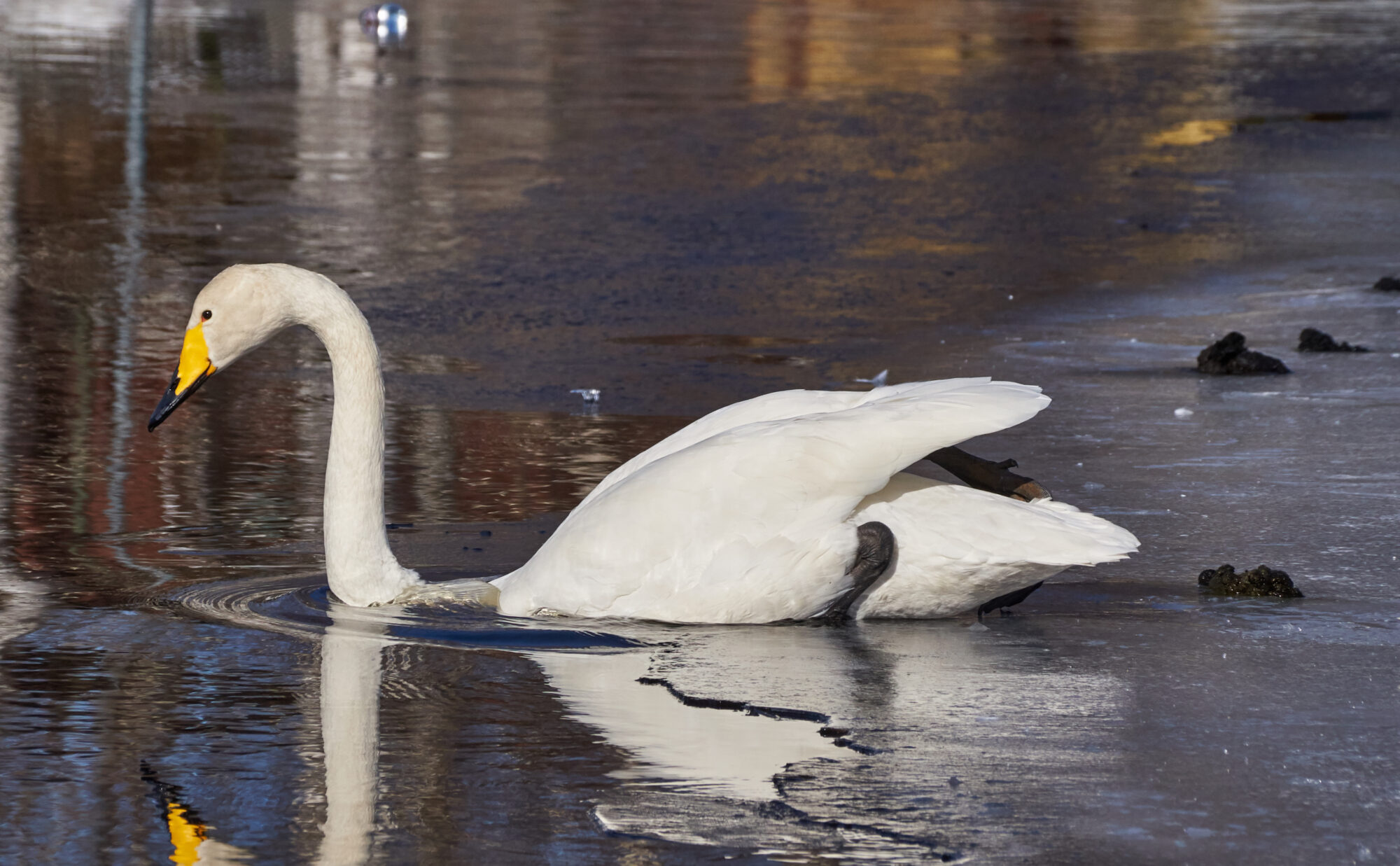 Valokuvaaja: Tarja Kouvo