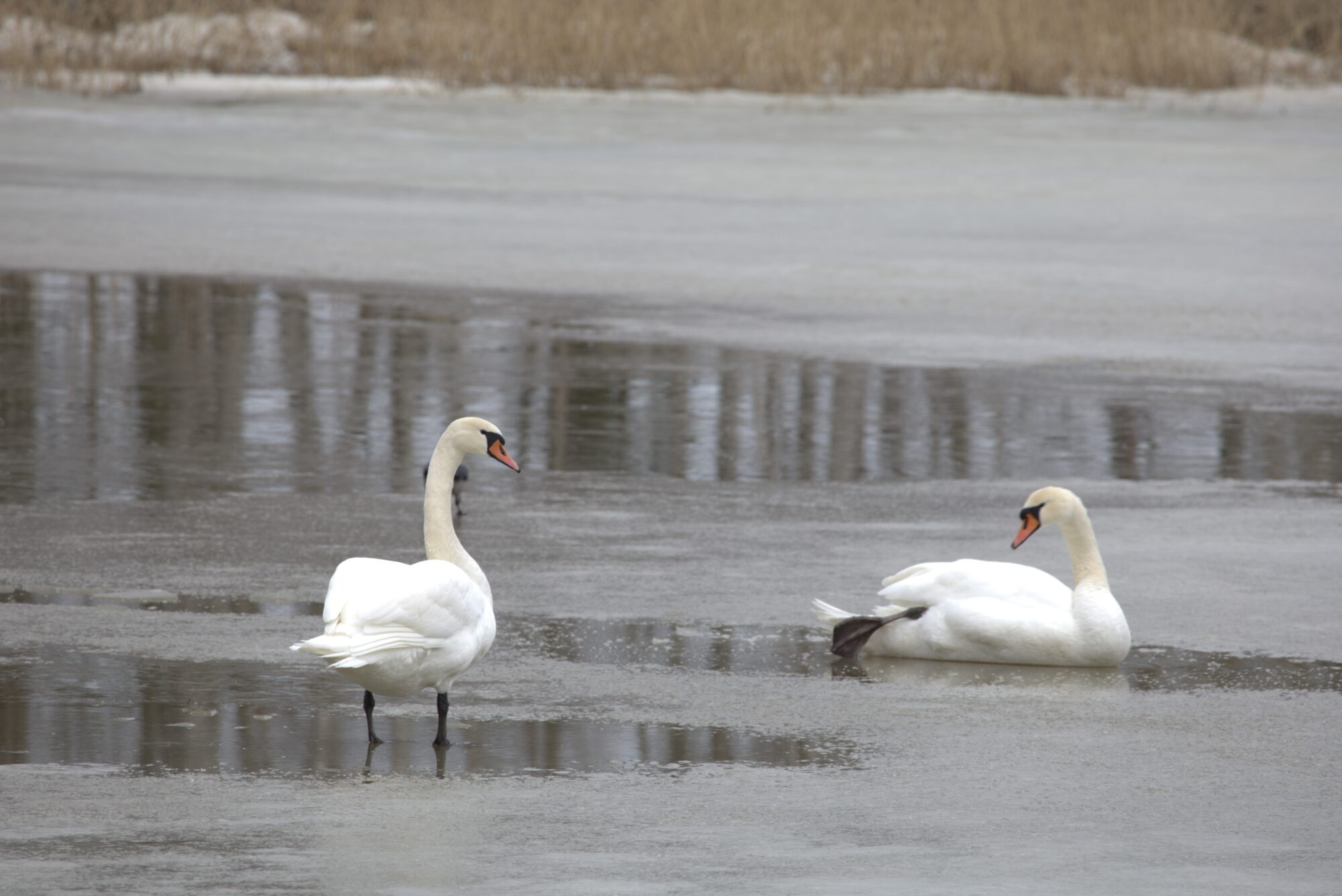 Valokuvaaja: Armi Järvinen