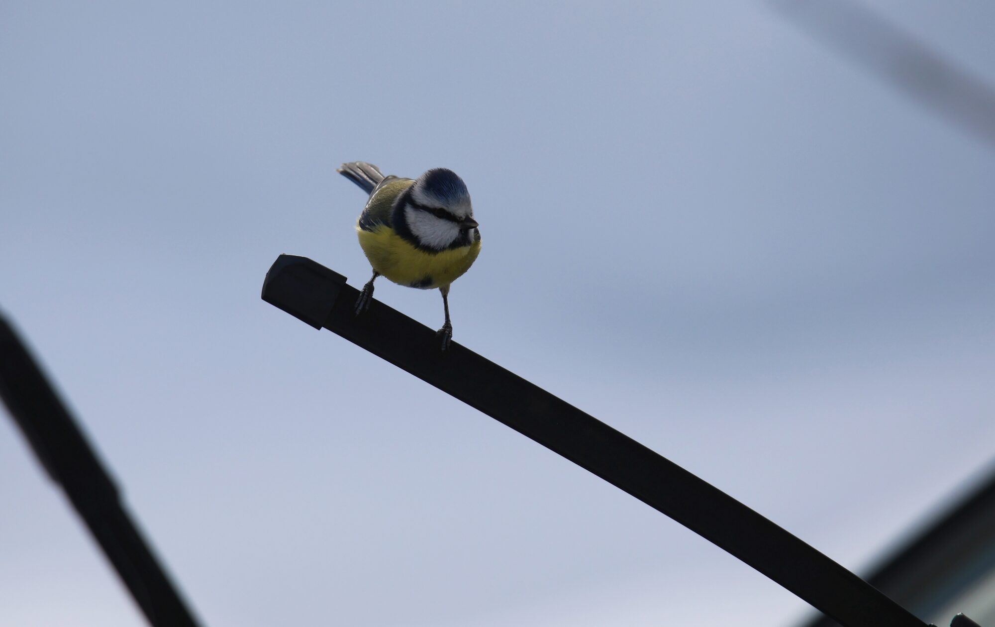 Valokuvaaja: Jaana Saarelainen