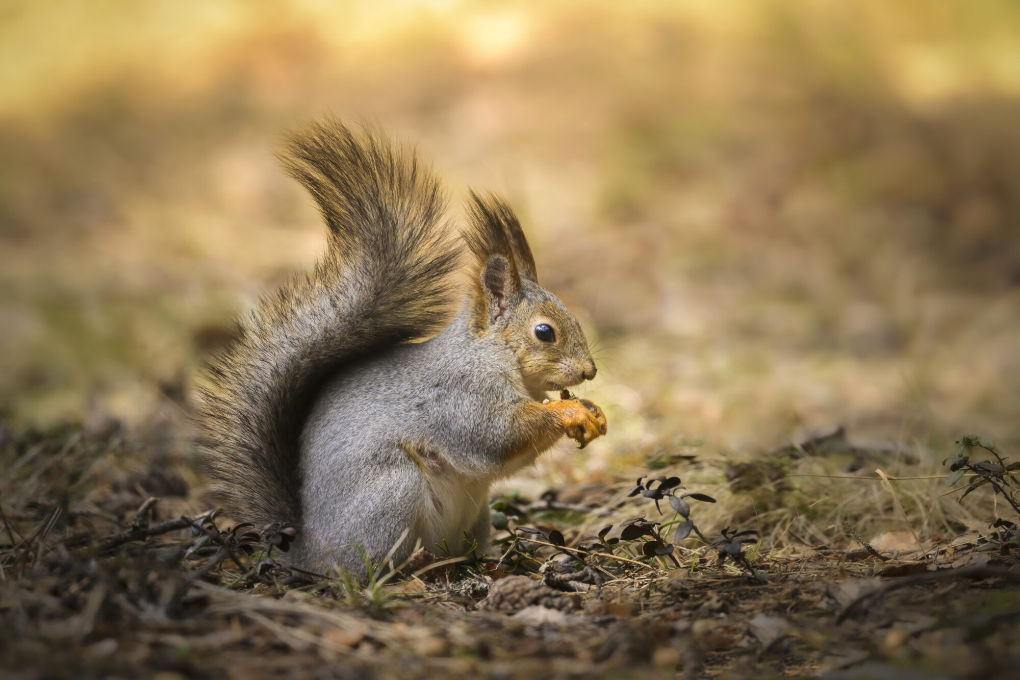 Valokuvaaja: Risto Lavi