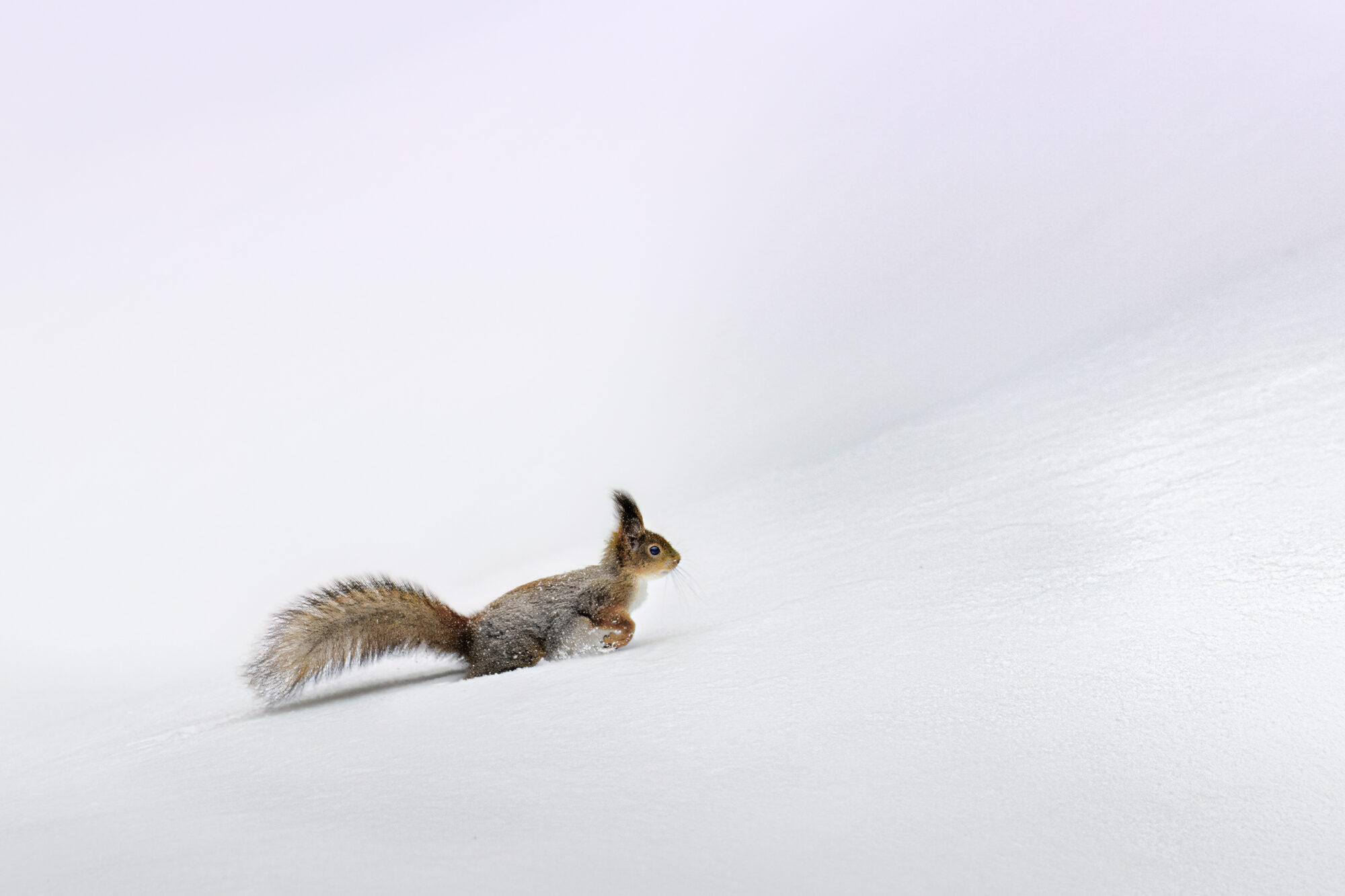 Valokuvaaja: Risto Lavi