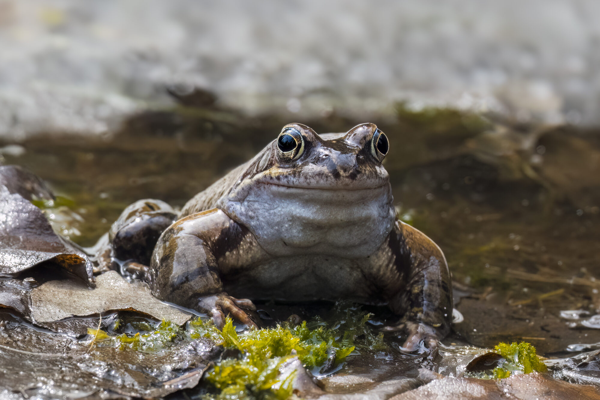 Valokuvaaja: Risto Lavi