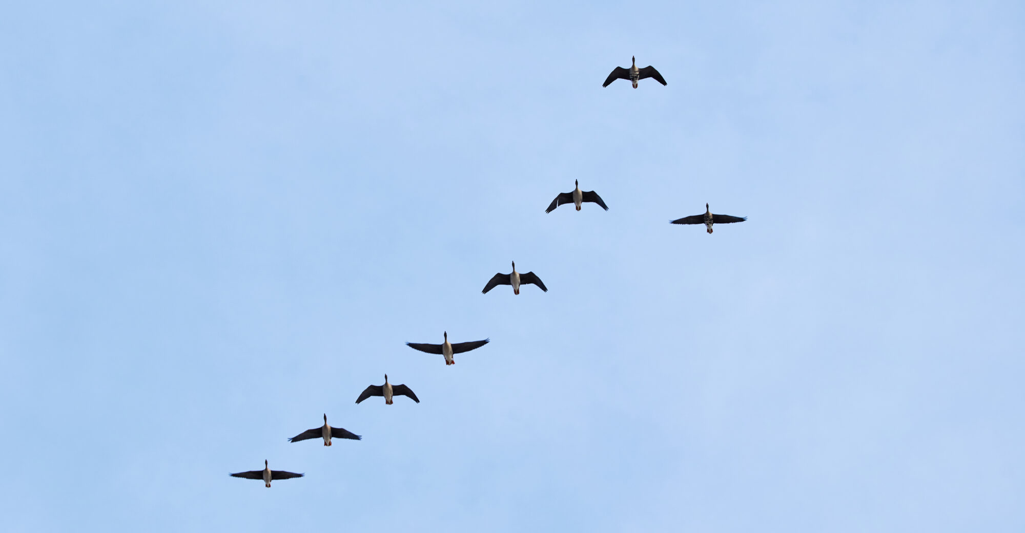 Valokuvaaja: Tarja Kouvo