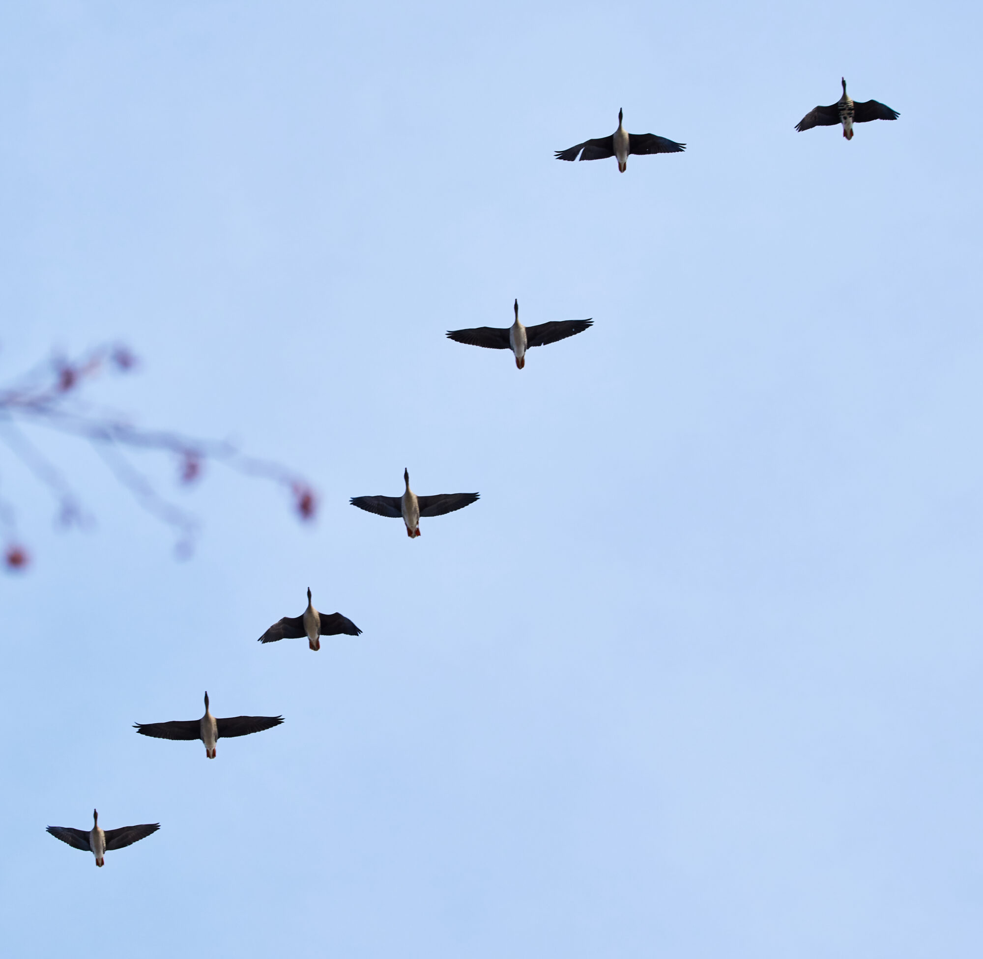 Valokuvaaja: Tarja Kouvo