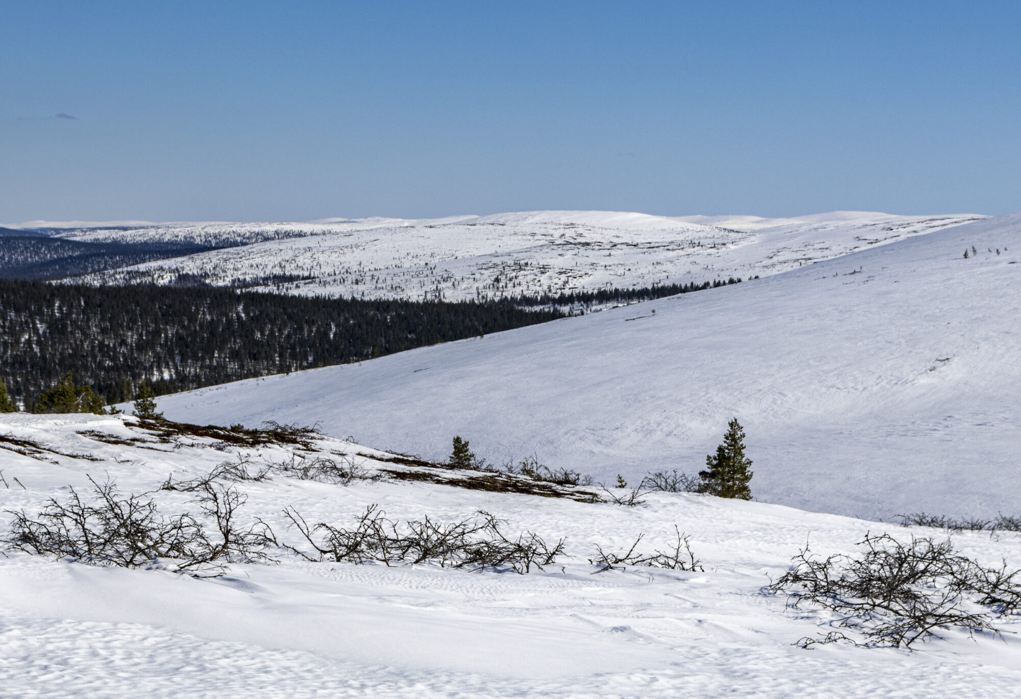 Valokuvaaja: Hannu Tikkanen