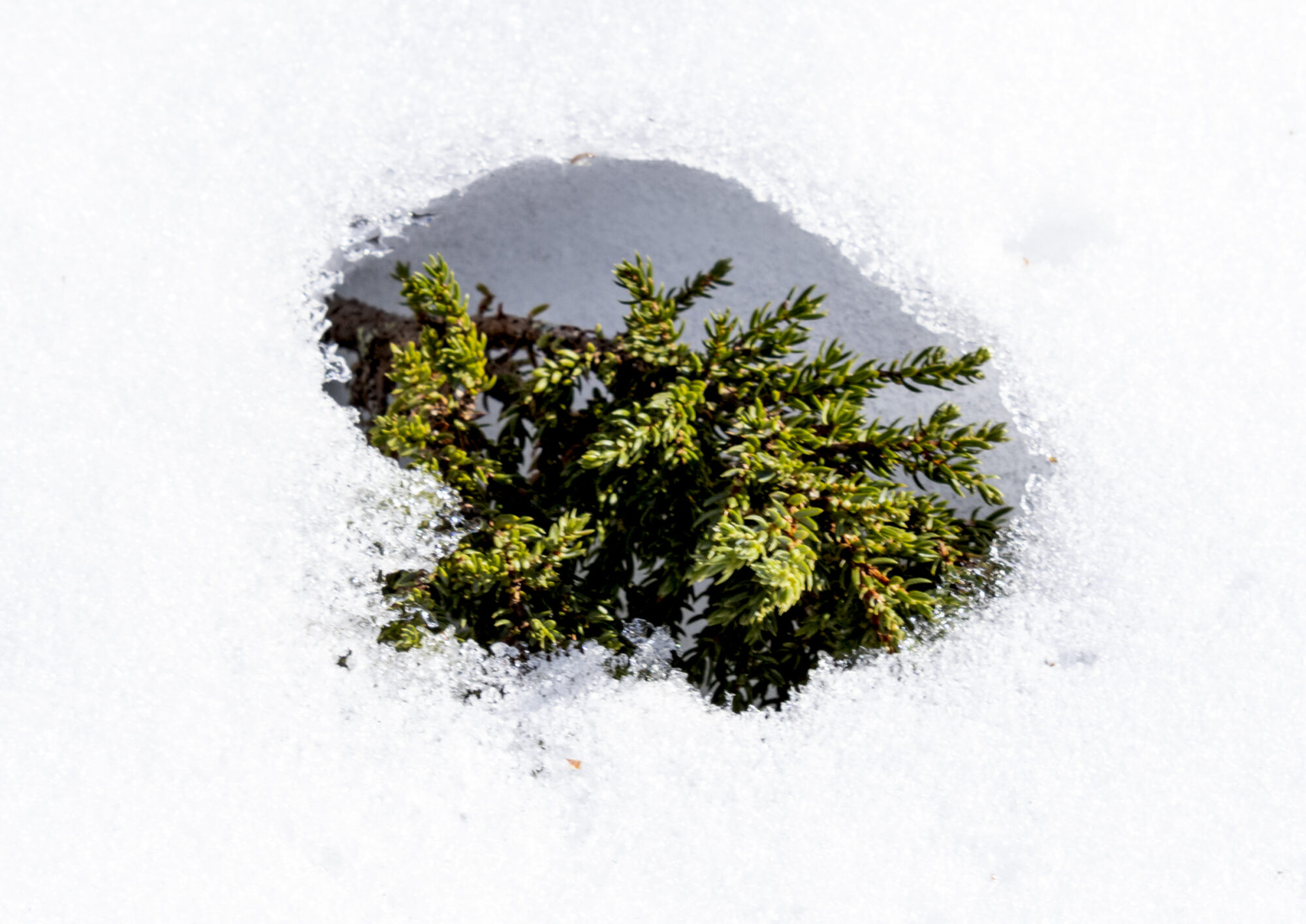 Valokuvaaja: Hannu Tikkanen