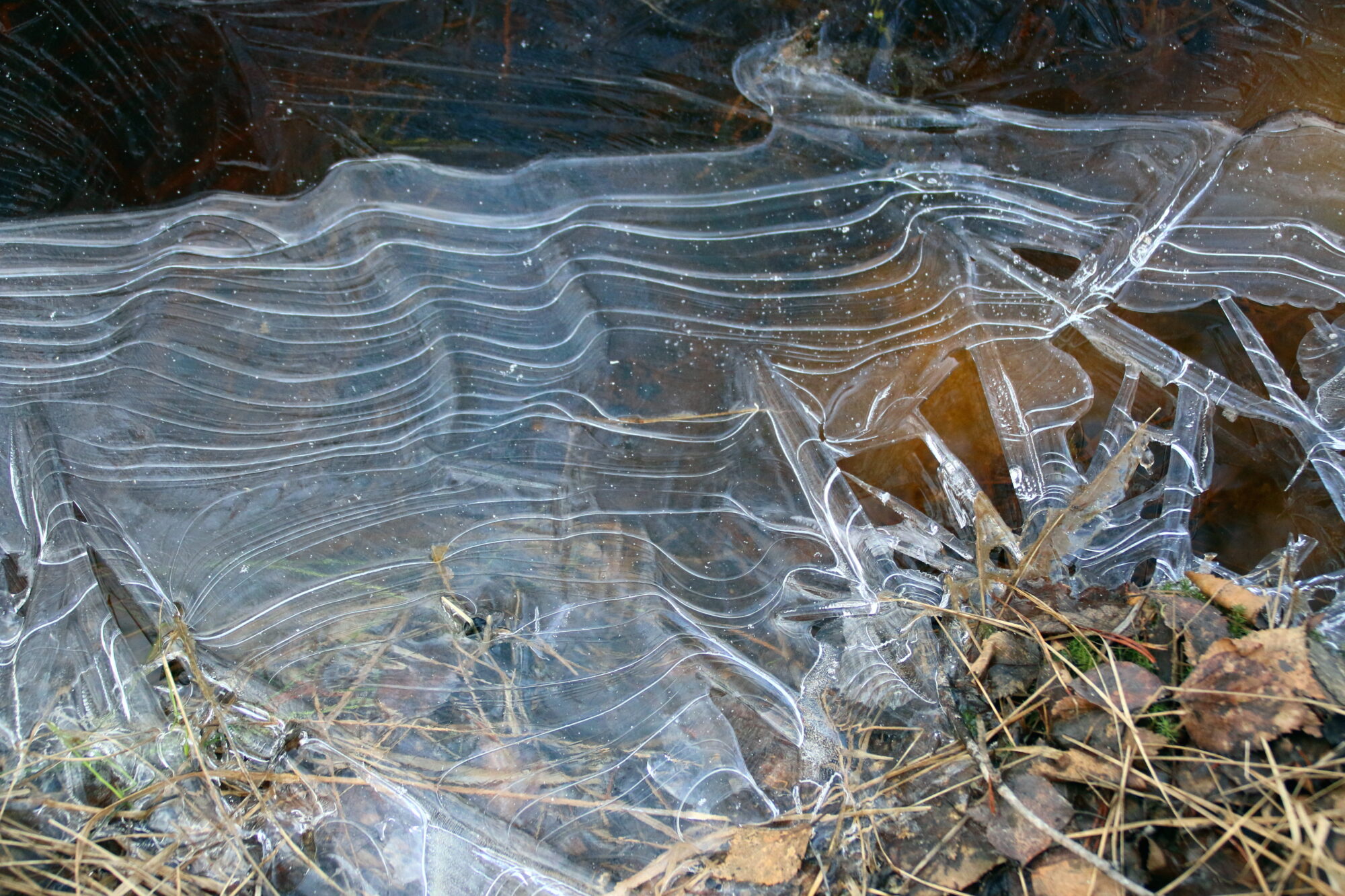 Valokuvaaja: Tuukka Pahtamaa