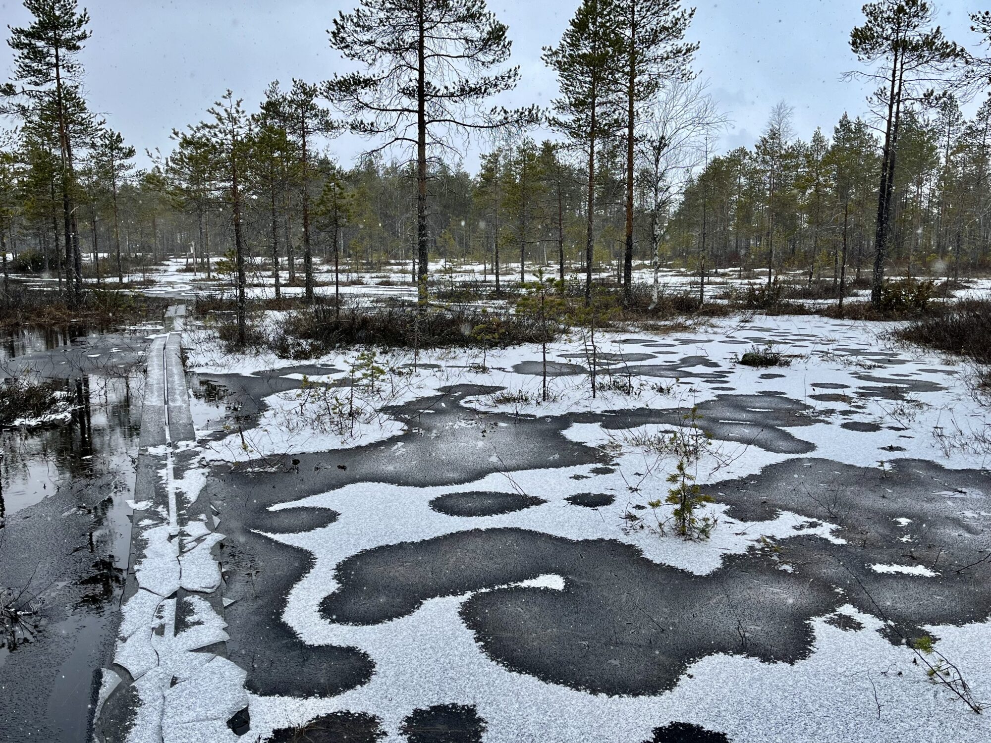 Valokuvaaja: Tuukka Pahtamaa Valokuvaaja: Tuukka Pahtamaa