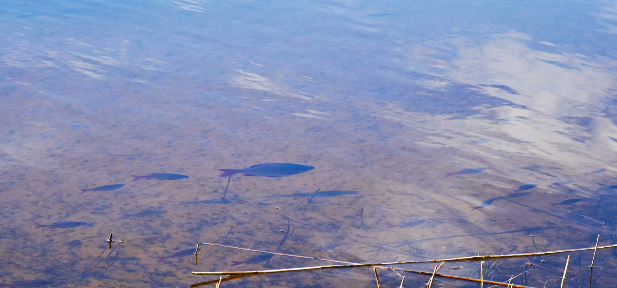 Valokuvaaja: Tarja Kouvo