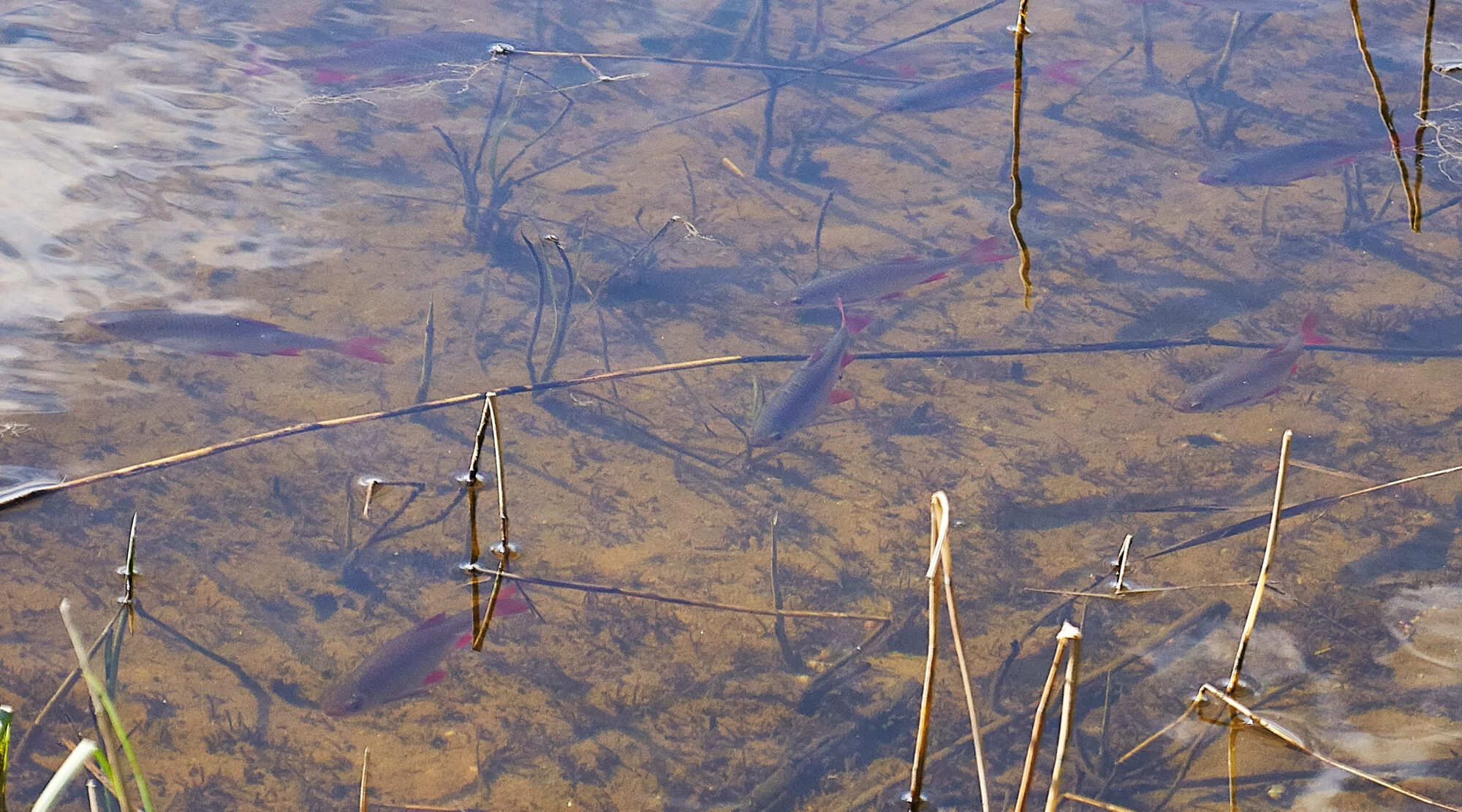 Valokuvaaja: Tarja Kouvo