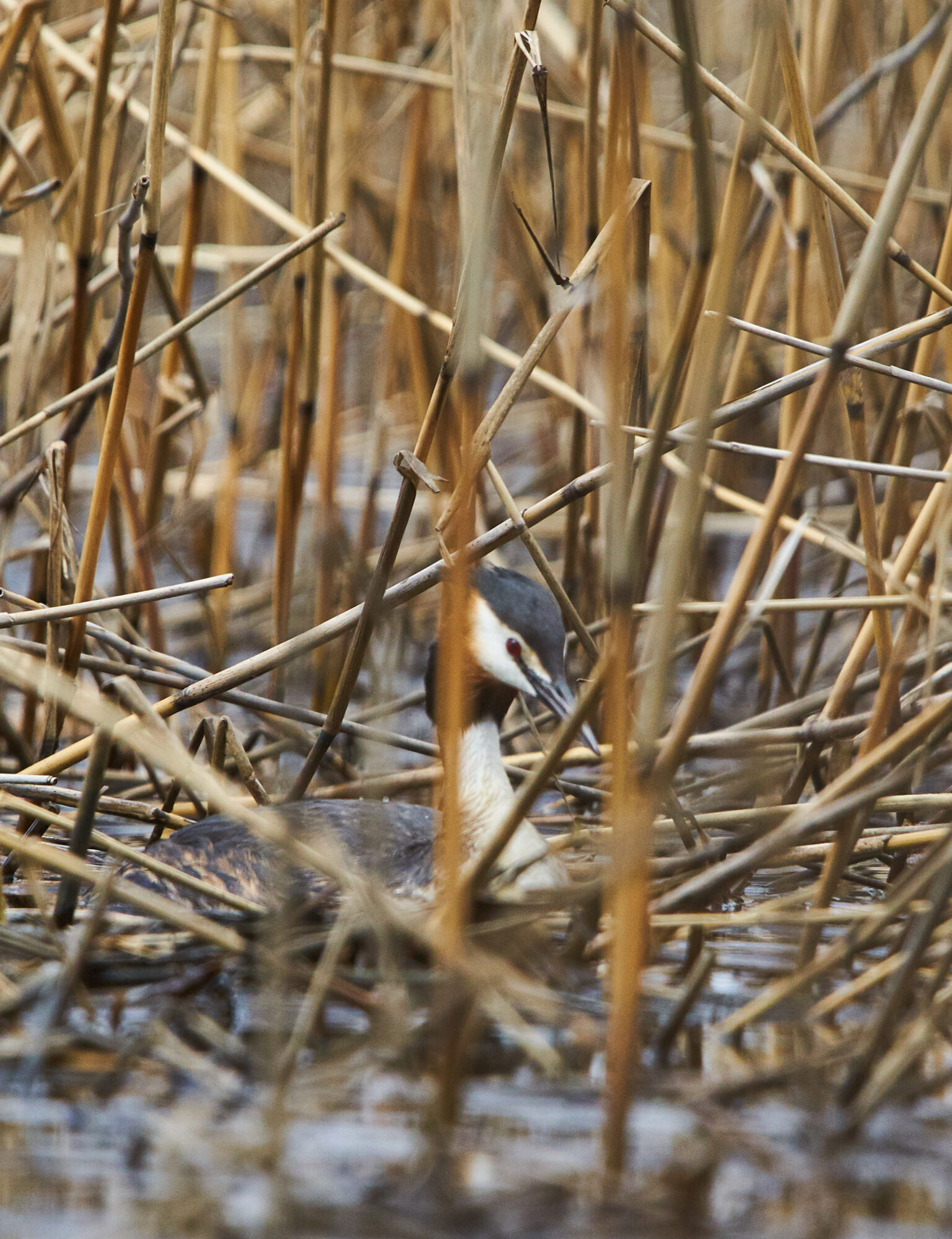 Valokuvaaja: Tarja Kouvo