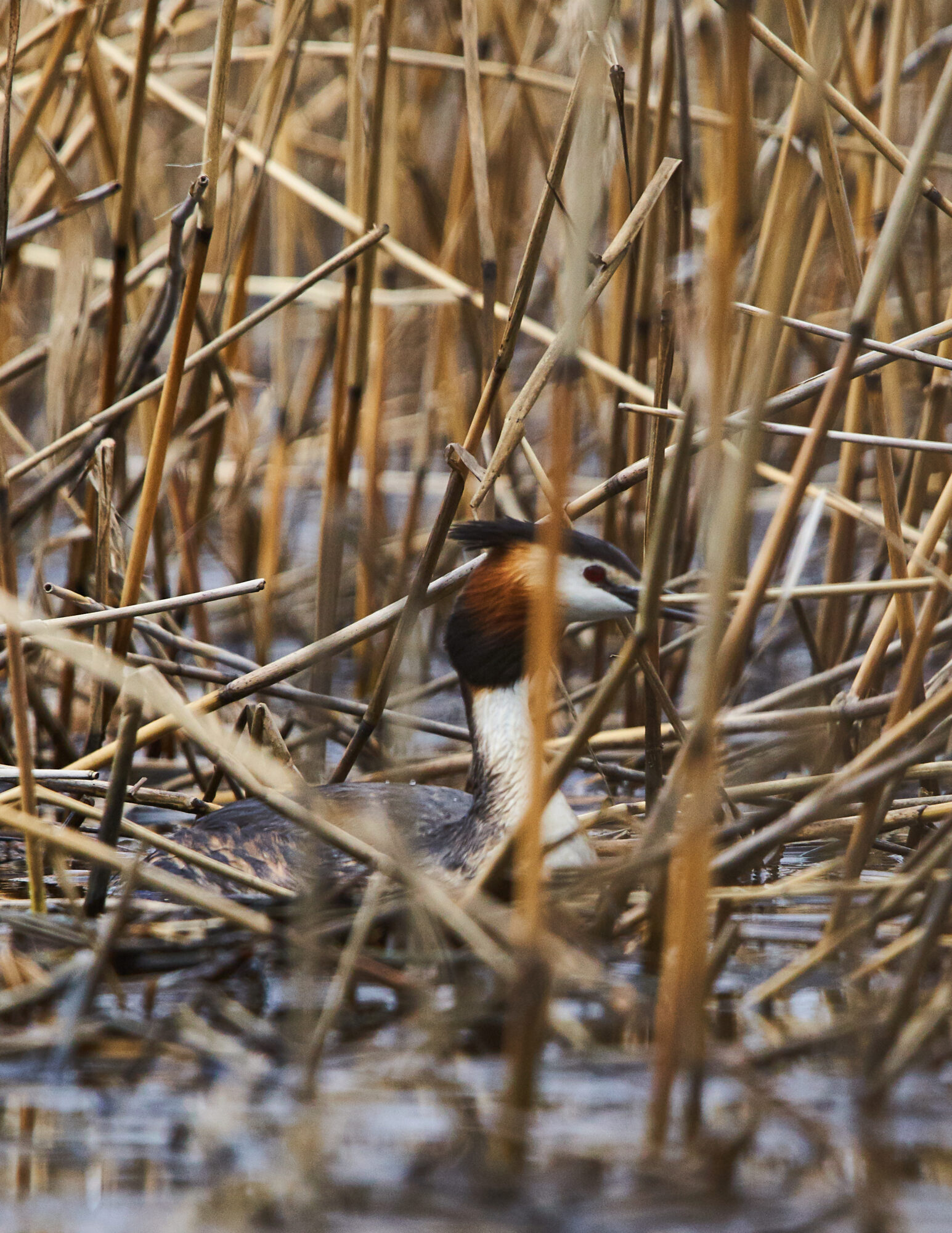 Valokuvaaja: Tarja Kouvo