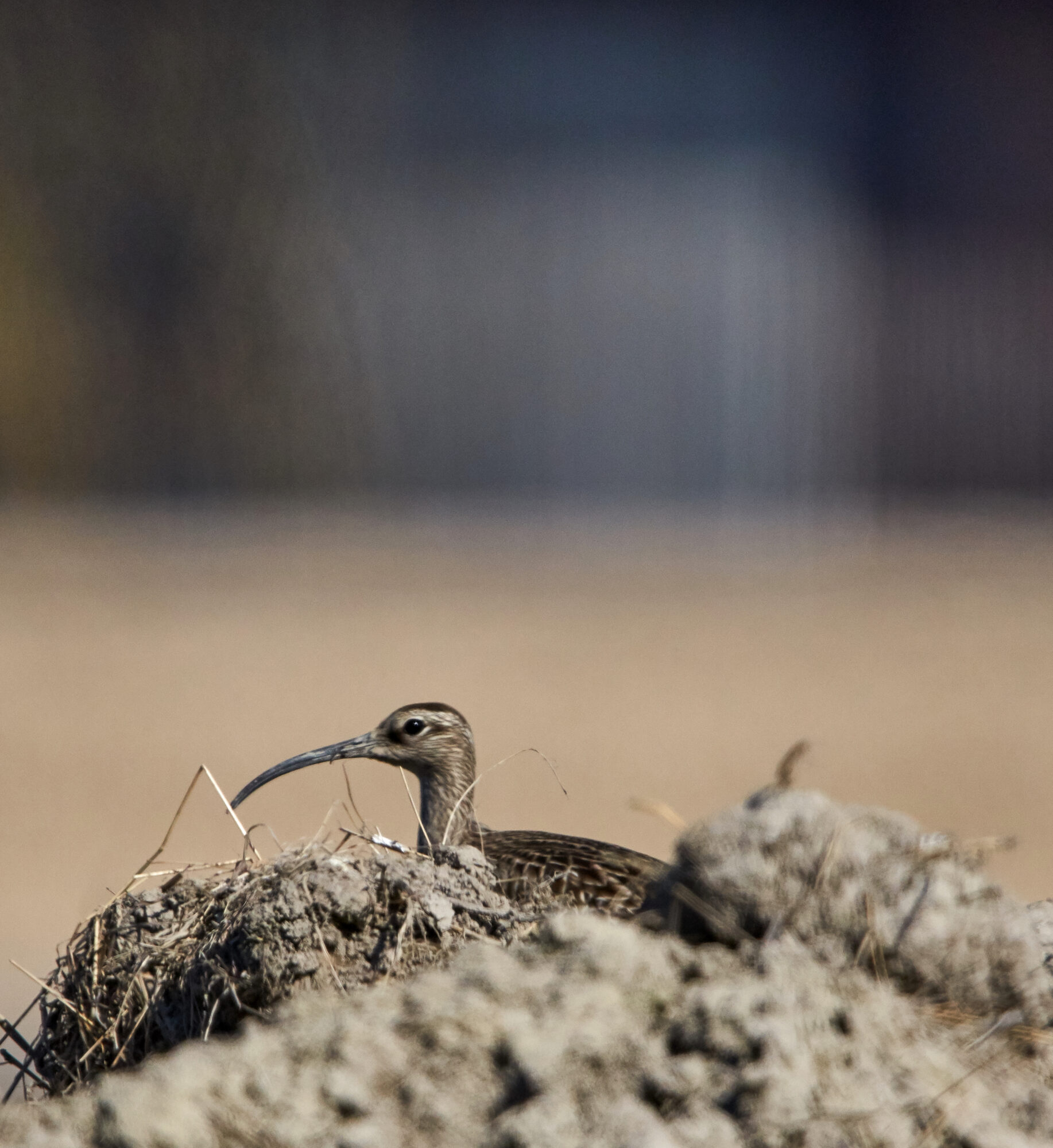 Valokuvaaja: Tarja Kouvo
